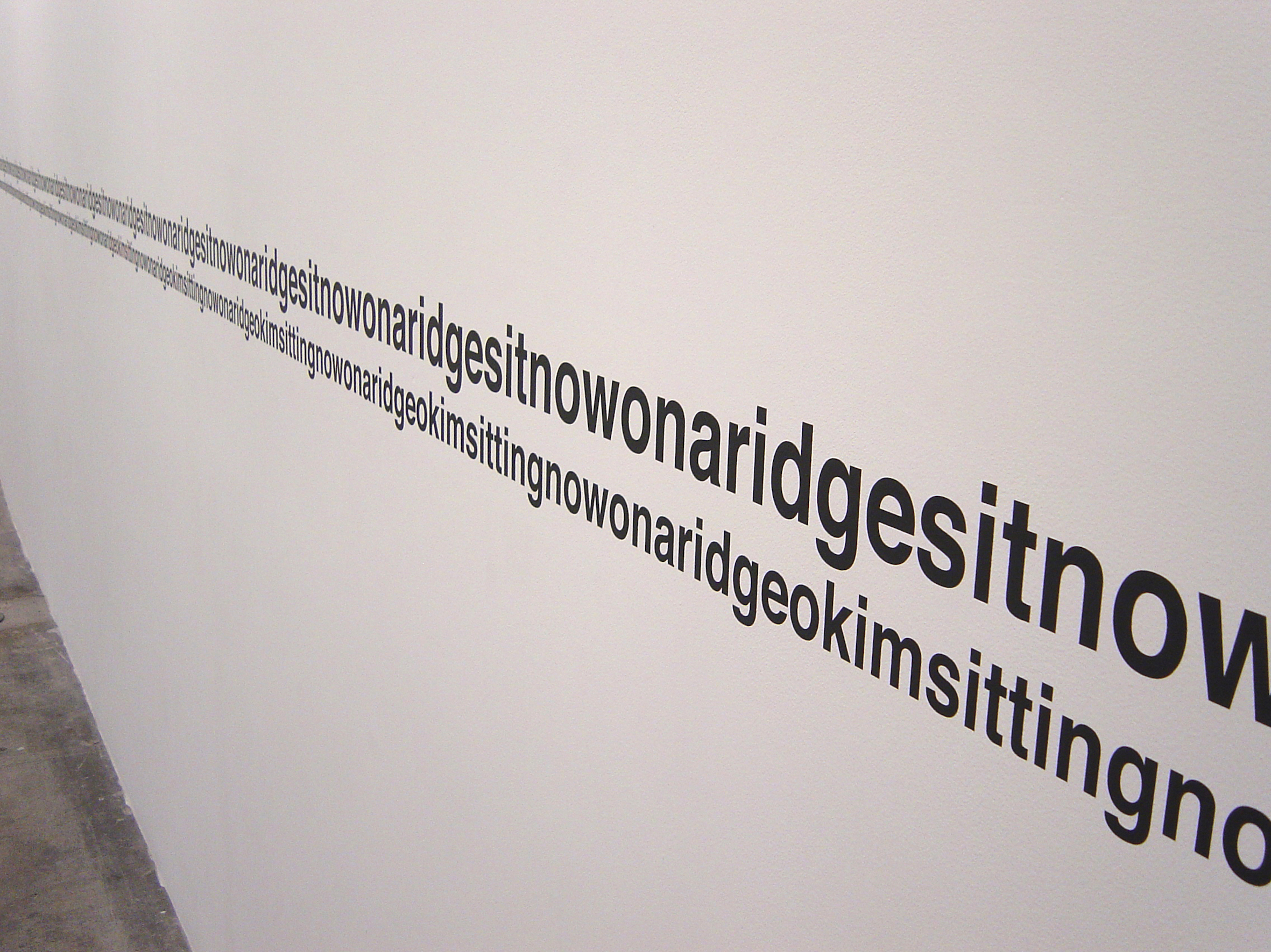 exteriordays, Casey Kaplan Gallery, New York, 2003
