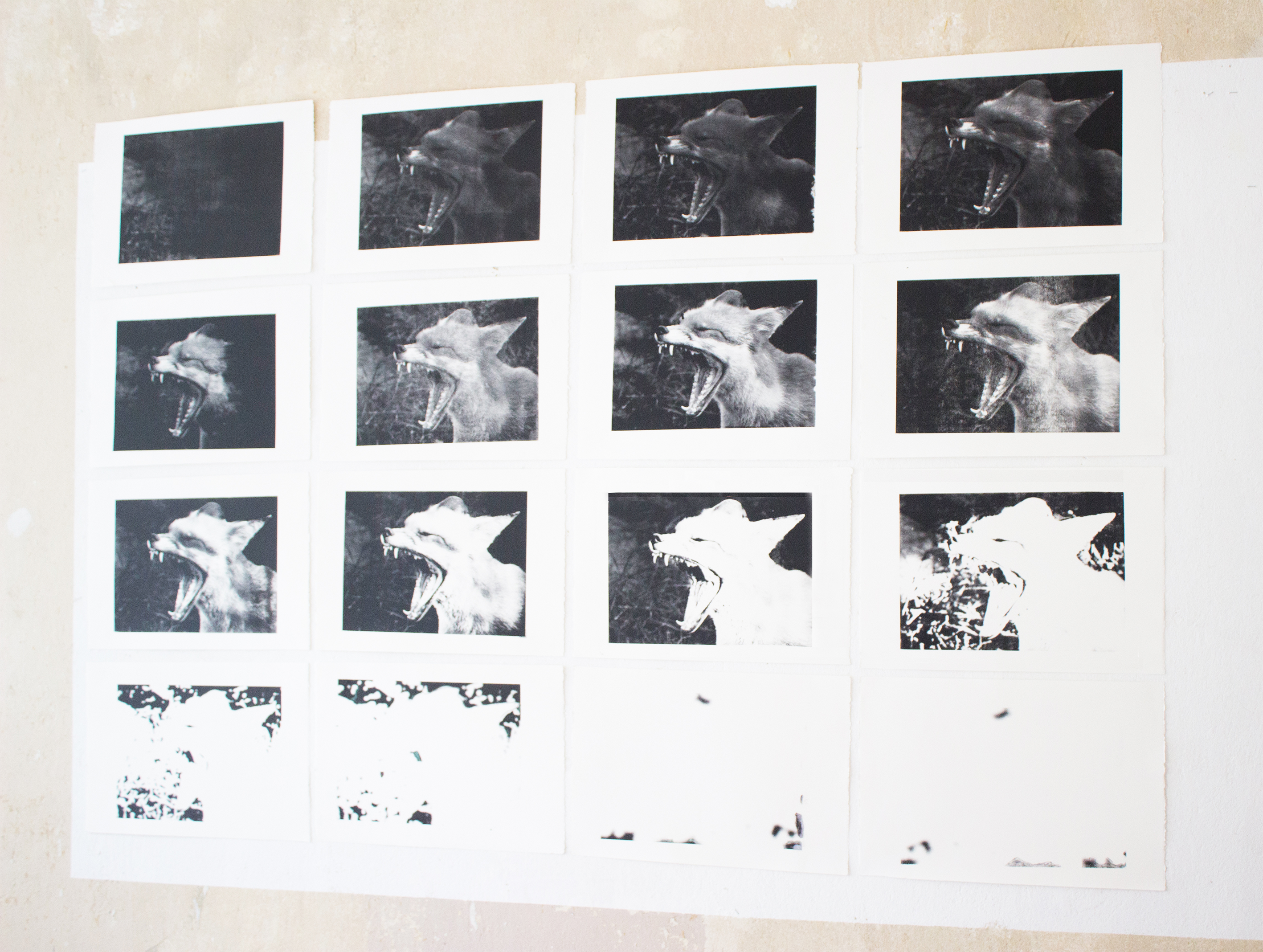 fading in and out of anger I., acrylic on cotton paper,Silkscreen Prints x 16, 233 x 158 cm, 2014/2015