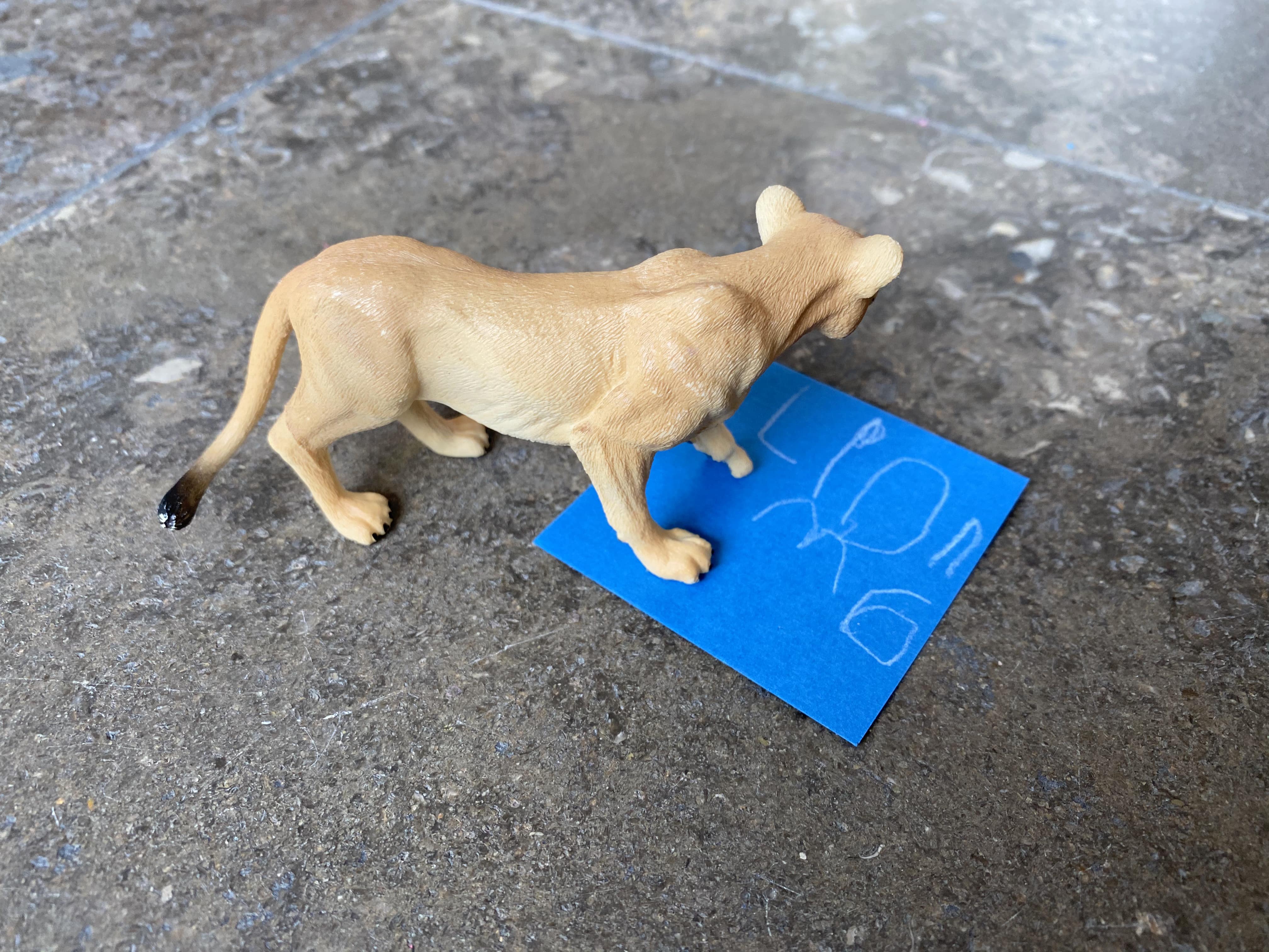 L is for Lionne. Ada.