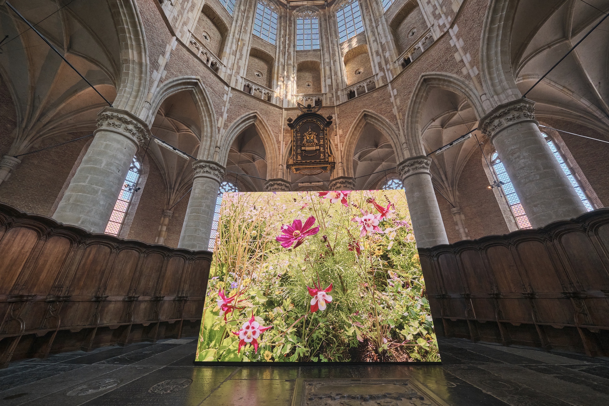 Grote Kerk, Alkmaar 2025 photo Rick Akkerman