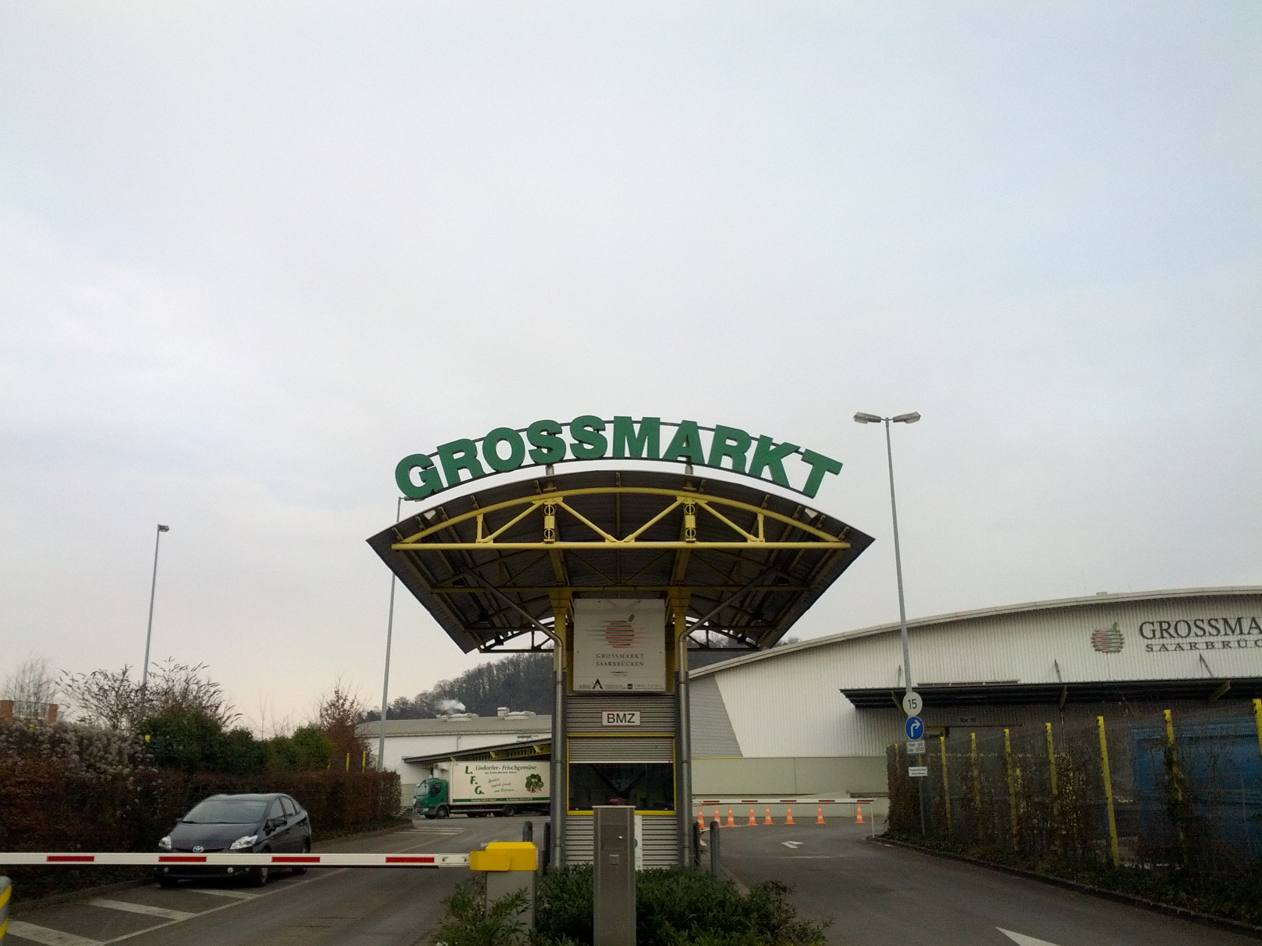 Studie von Gross zu Klein