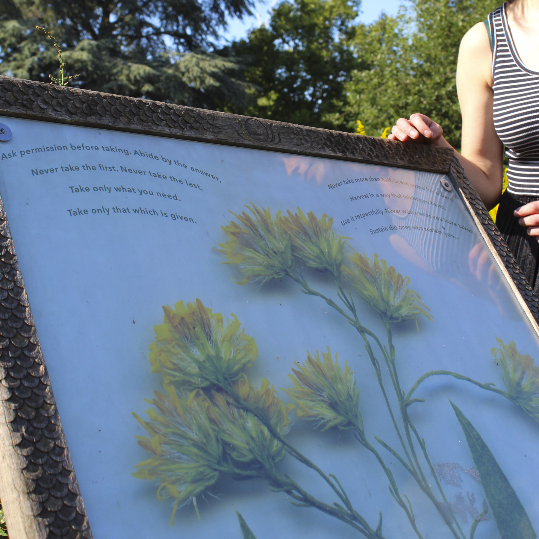 Gather Gently (Golden Rod and extract from Braiding Sweetgrass by Robin Wall Kimmerer), 2021