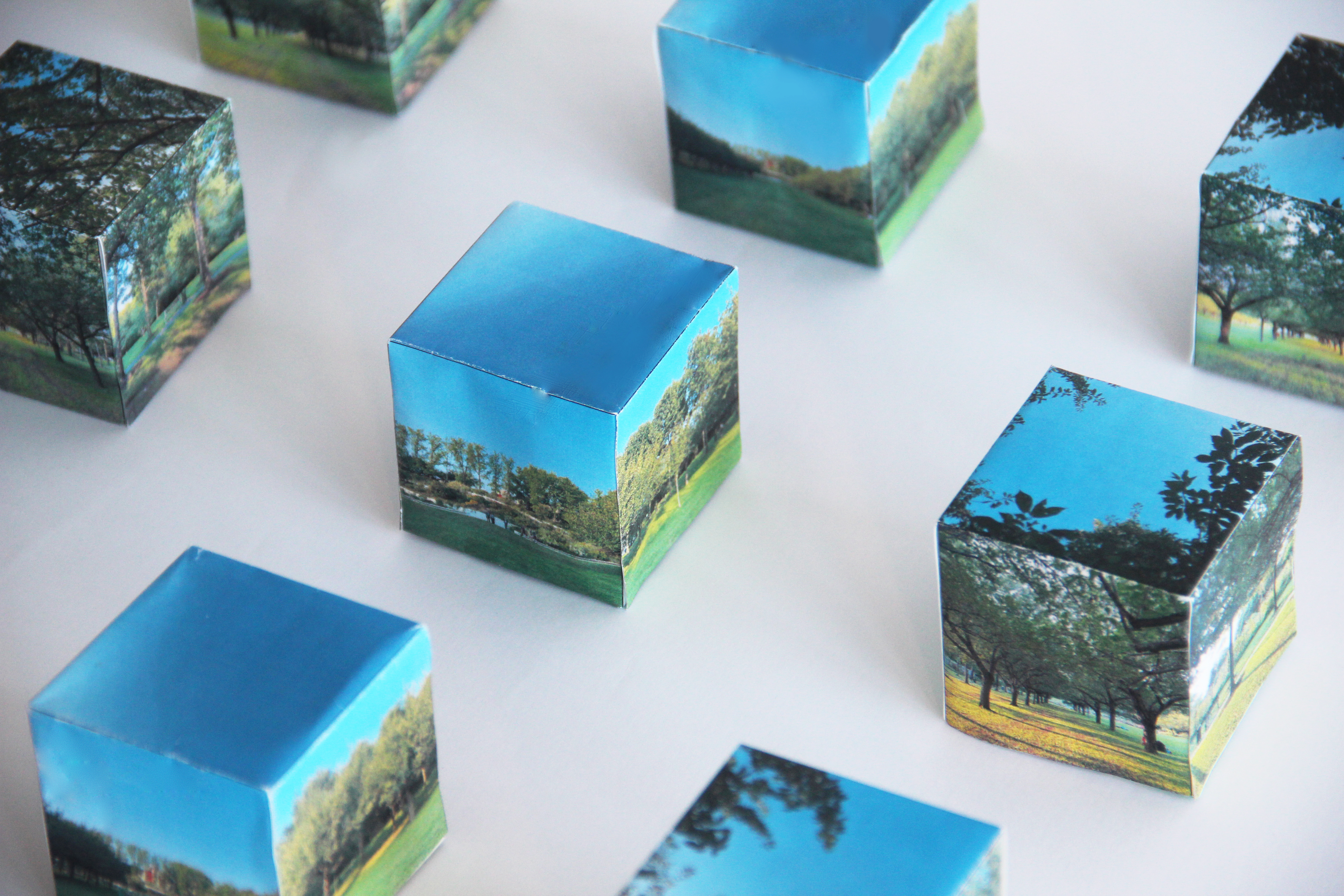  Exploration of Bk Botanical Garden 2