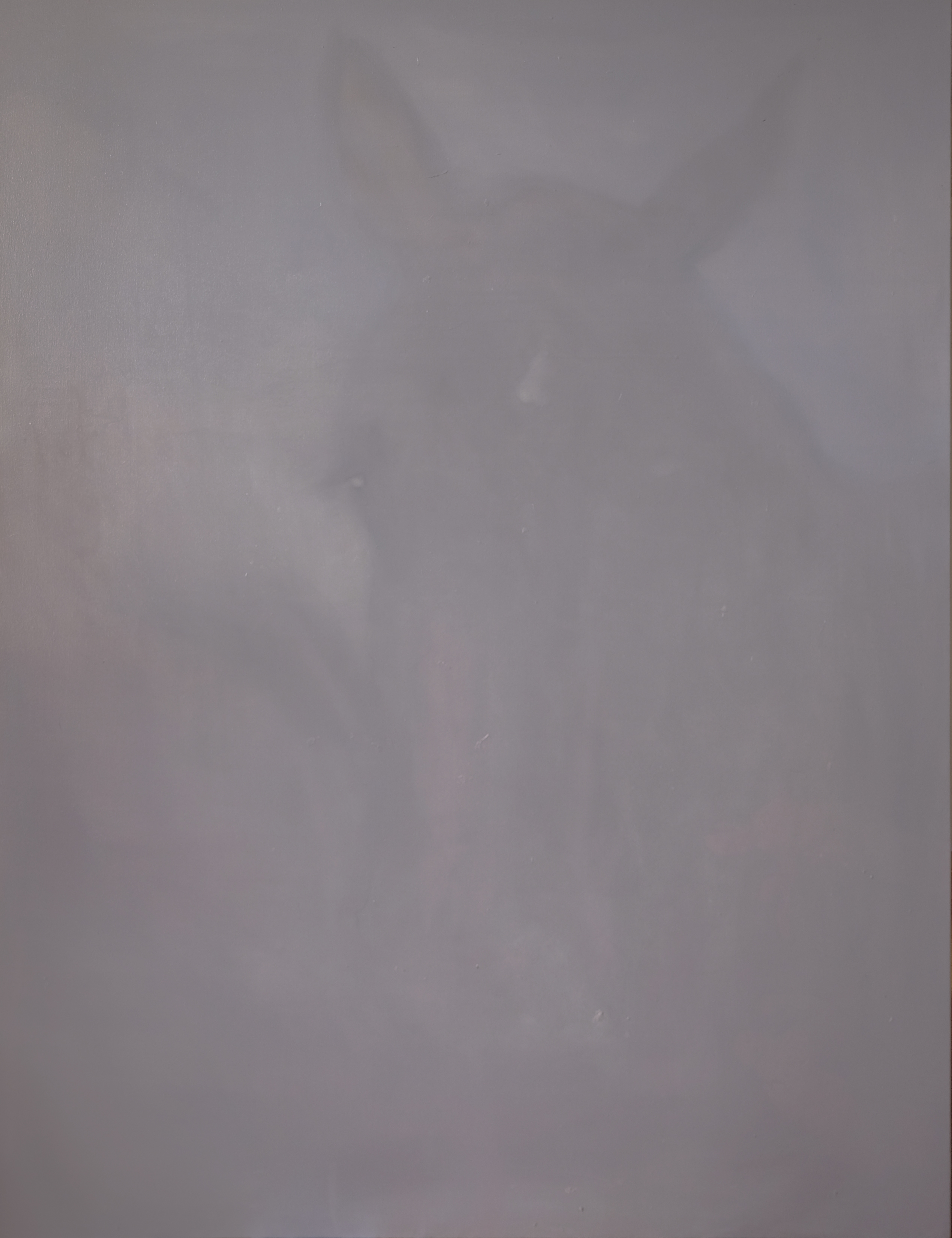 Hammer Without MasterOil on Canvas115 x 150cm