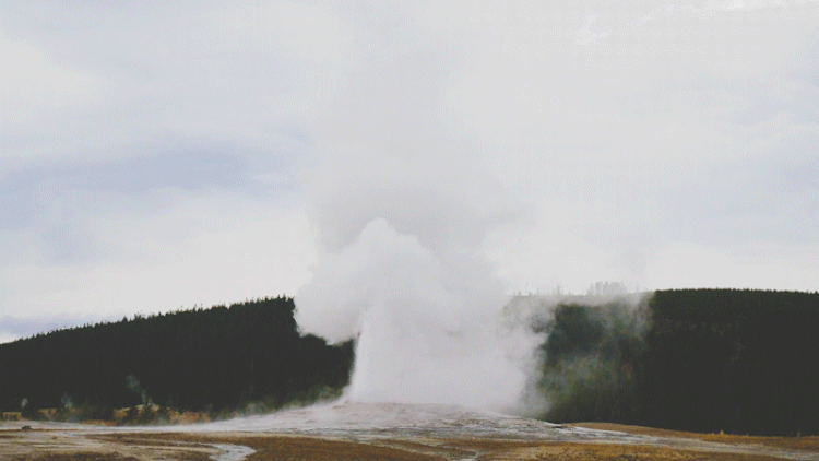 Yellow Stone National Park, USA, 2017