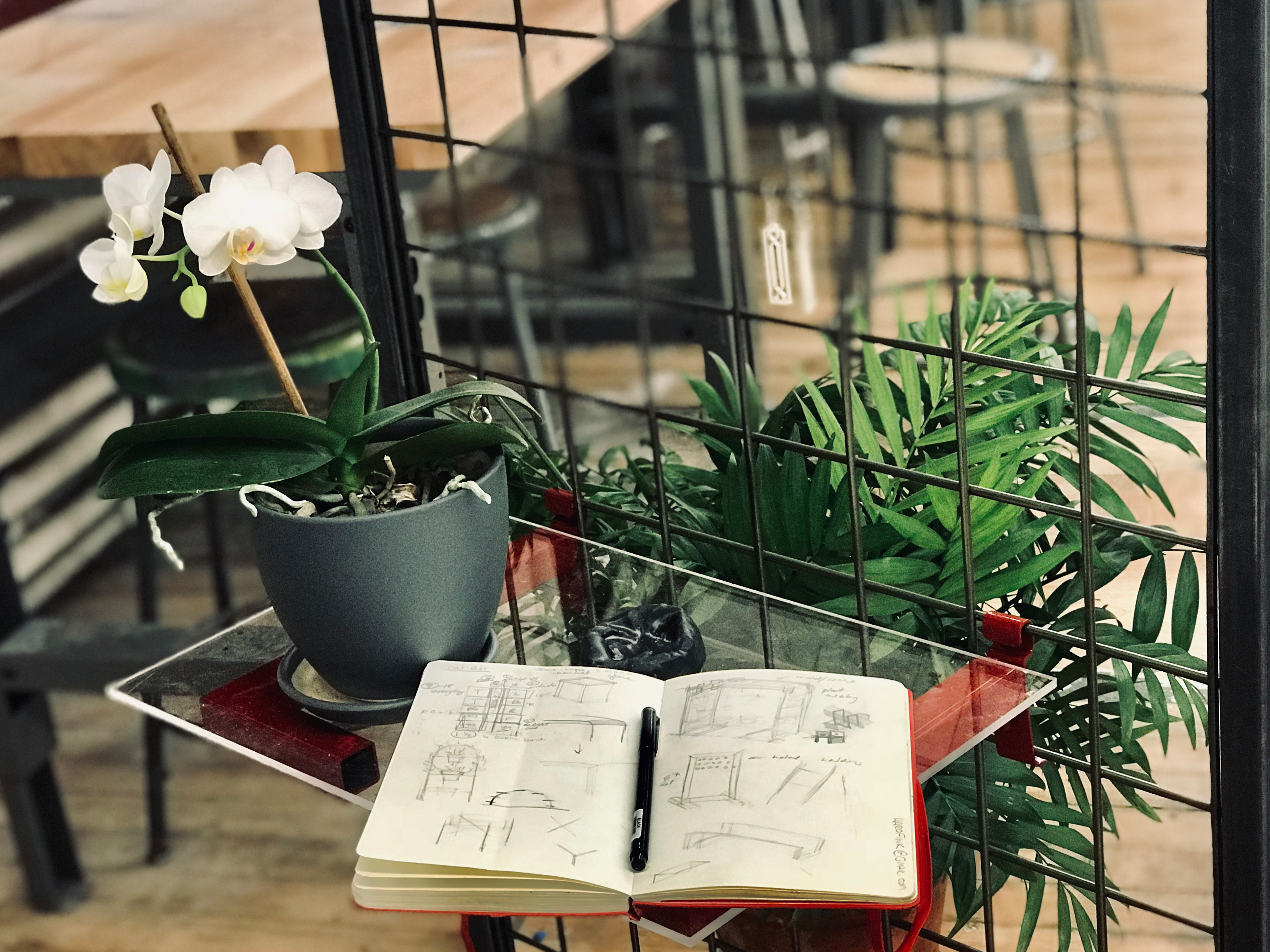 Furniture in Action