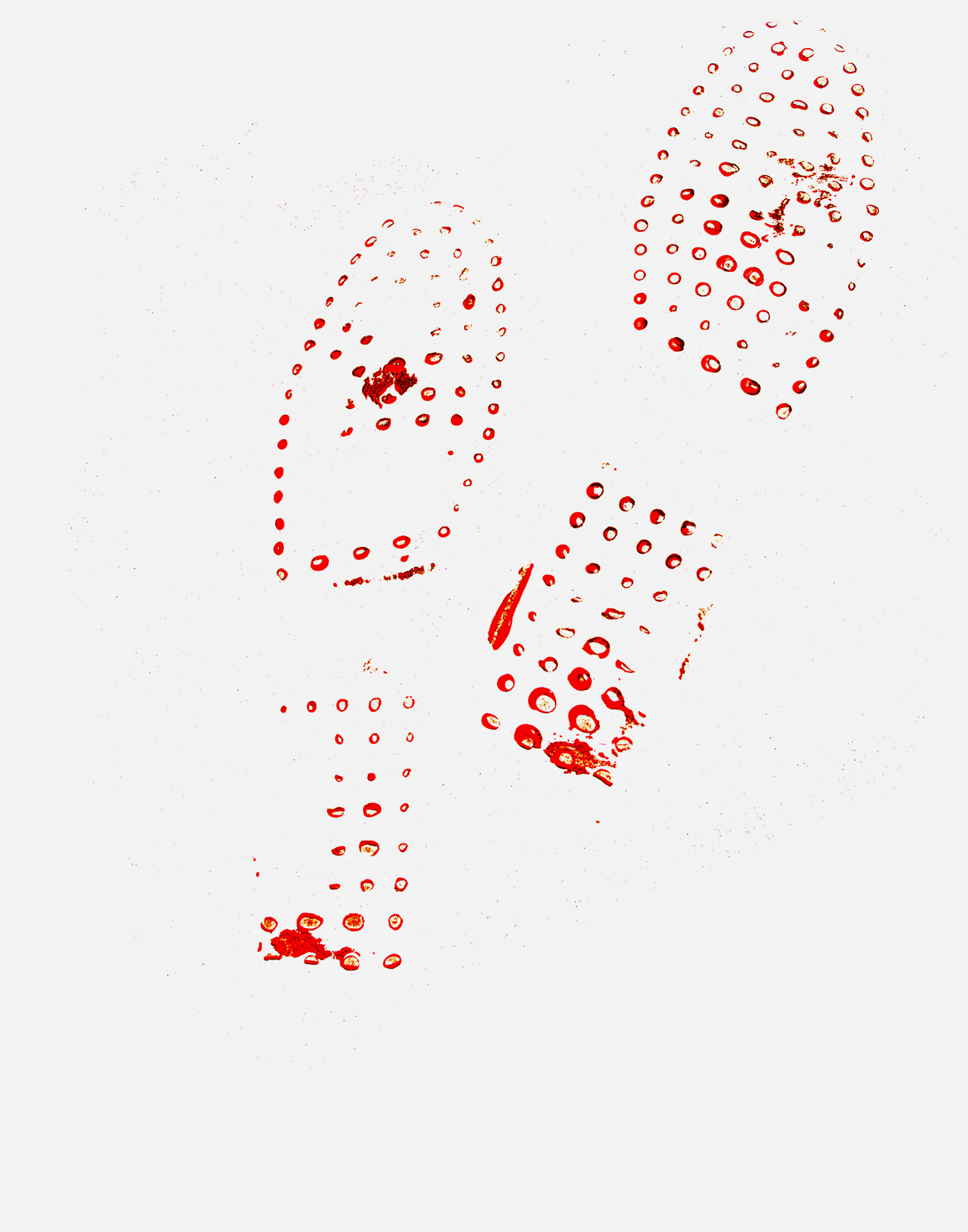 Tod's, Unpublished Campaign, 20021/3