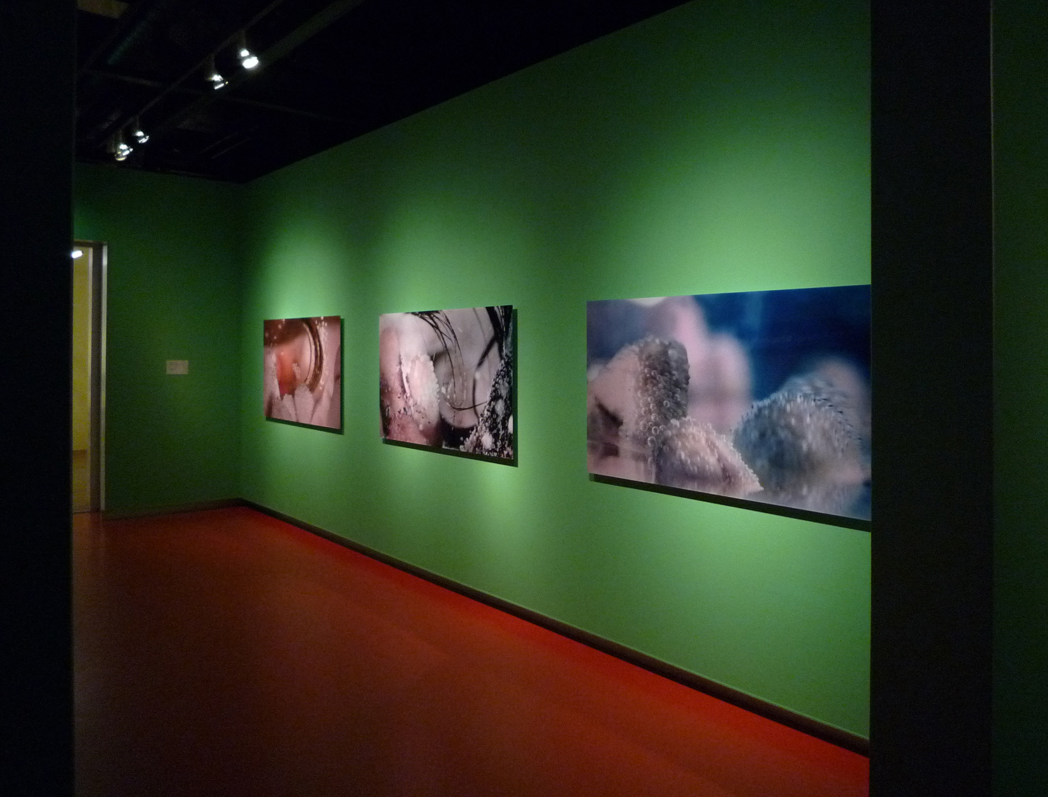 Solo "Whispering Waters" Groninger Museum 2009