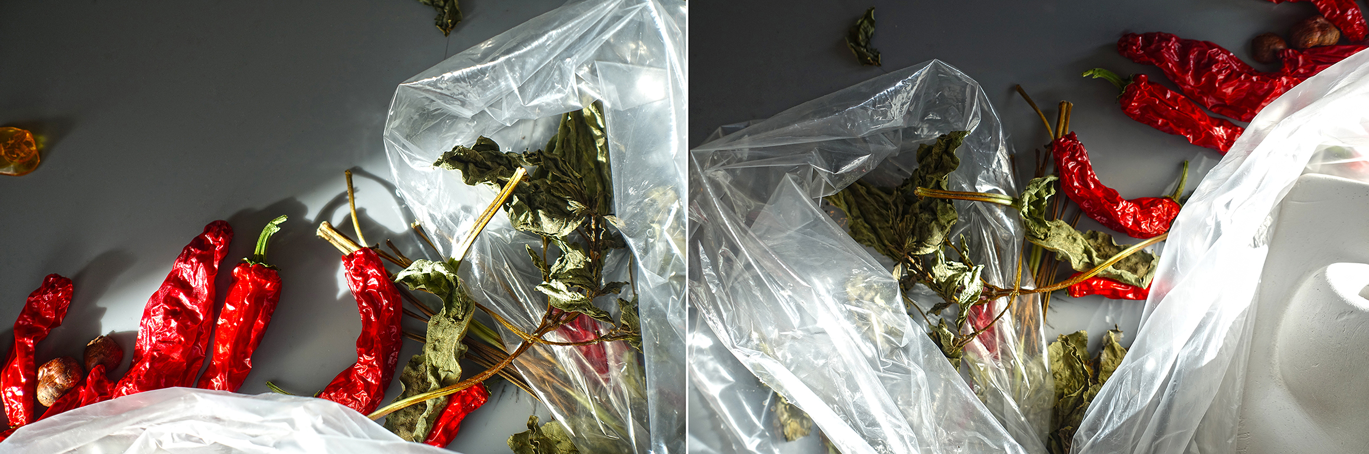 Beauty Papers Outtake, 20153/4