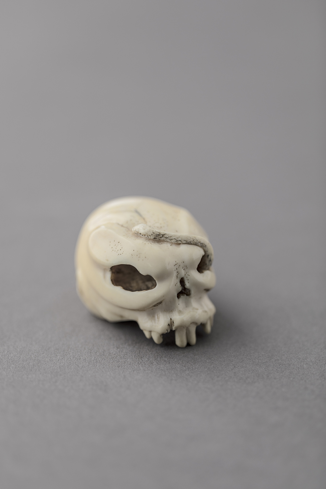 PHOTOGRAPHY RAF STUDIO OF MUSEE DES ARTS DECORATIFS PARIS  ROTHSCHILD COLLECTION