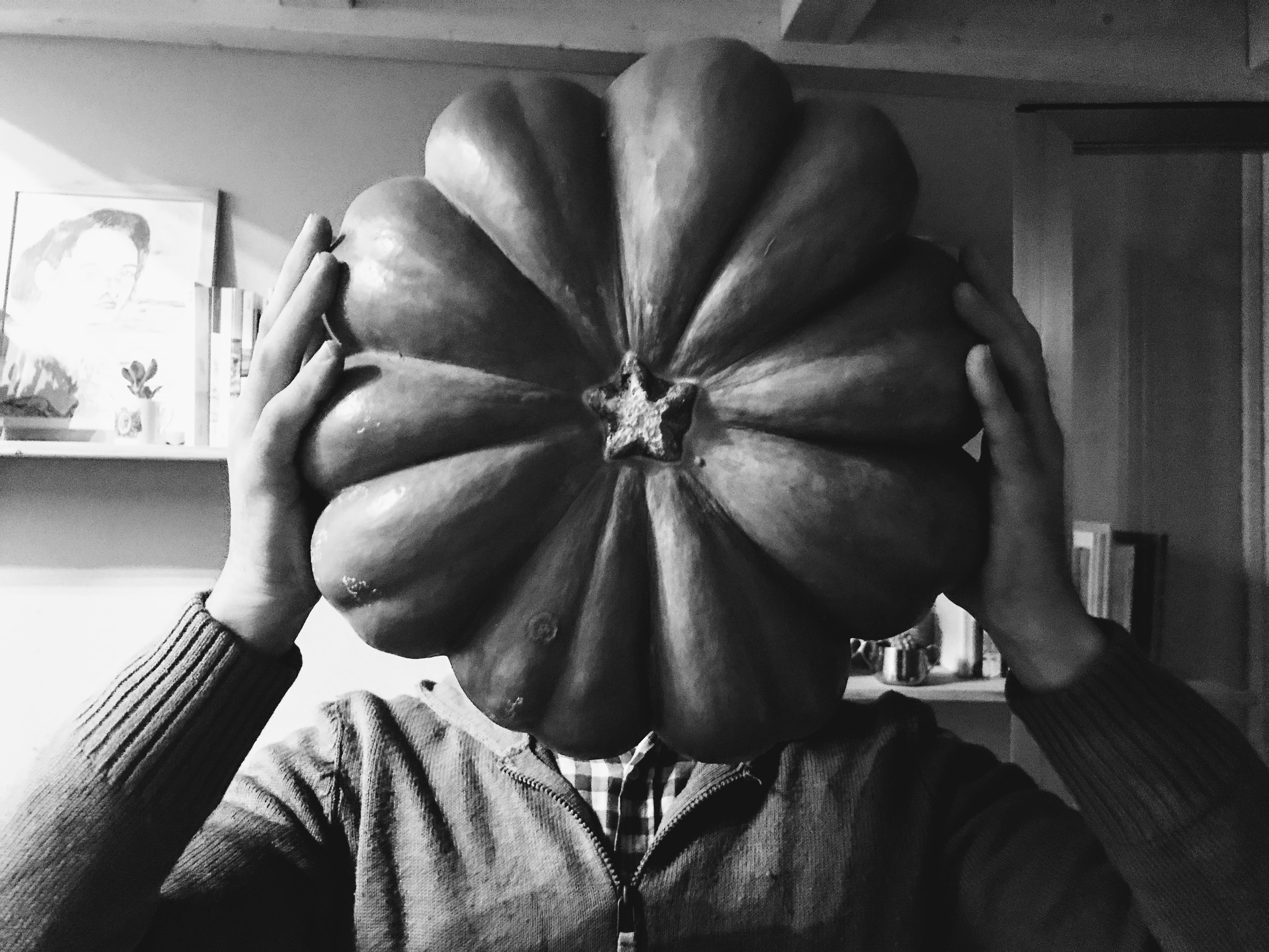 Zuccone, Bologna, 12-10-17