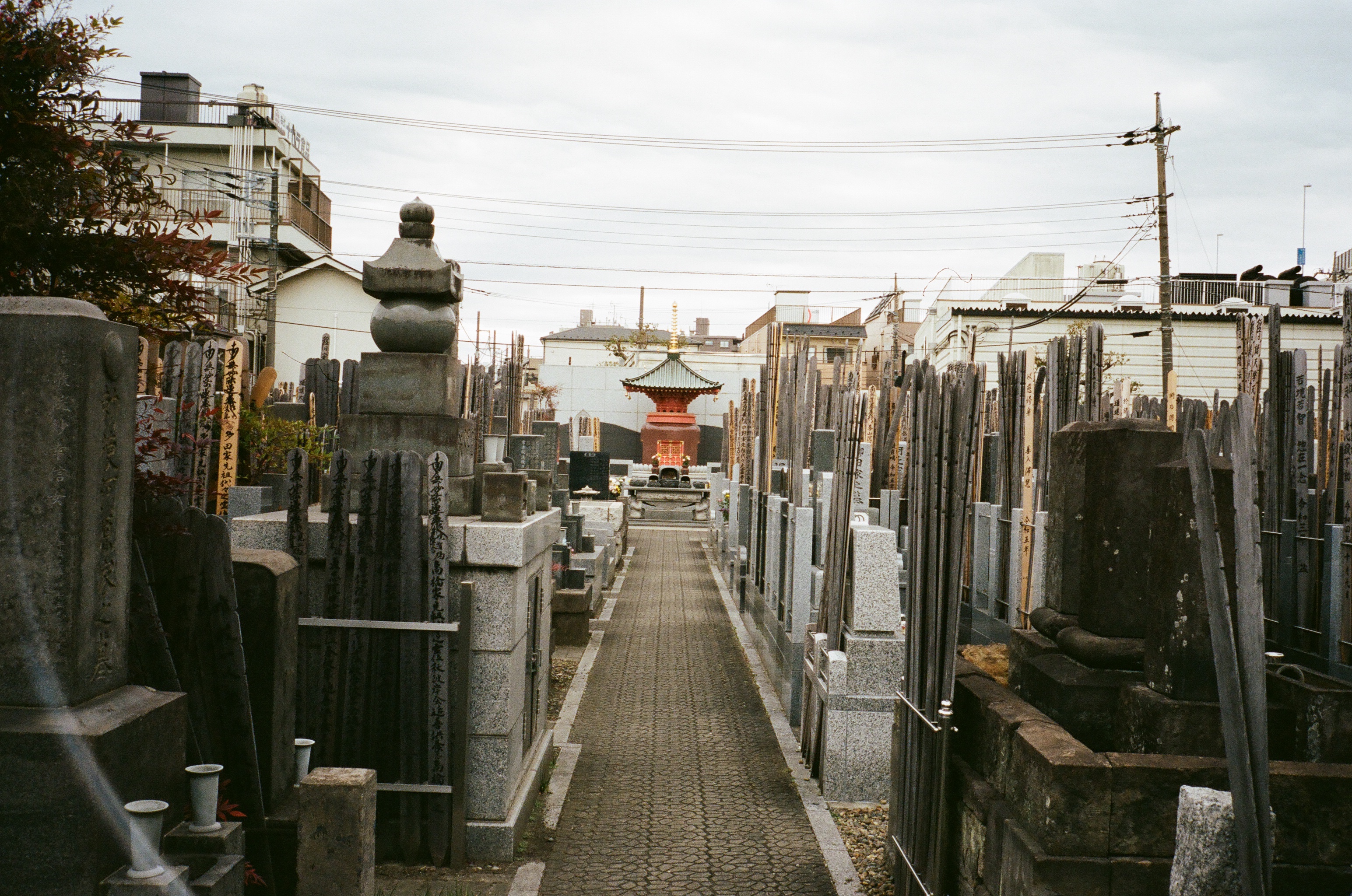 Visiting おばあさん, Tokyo