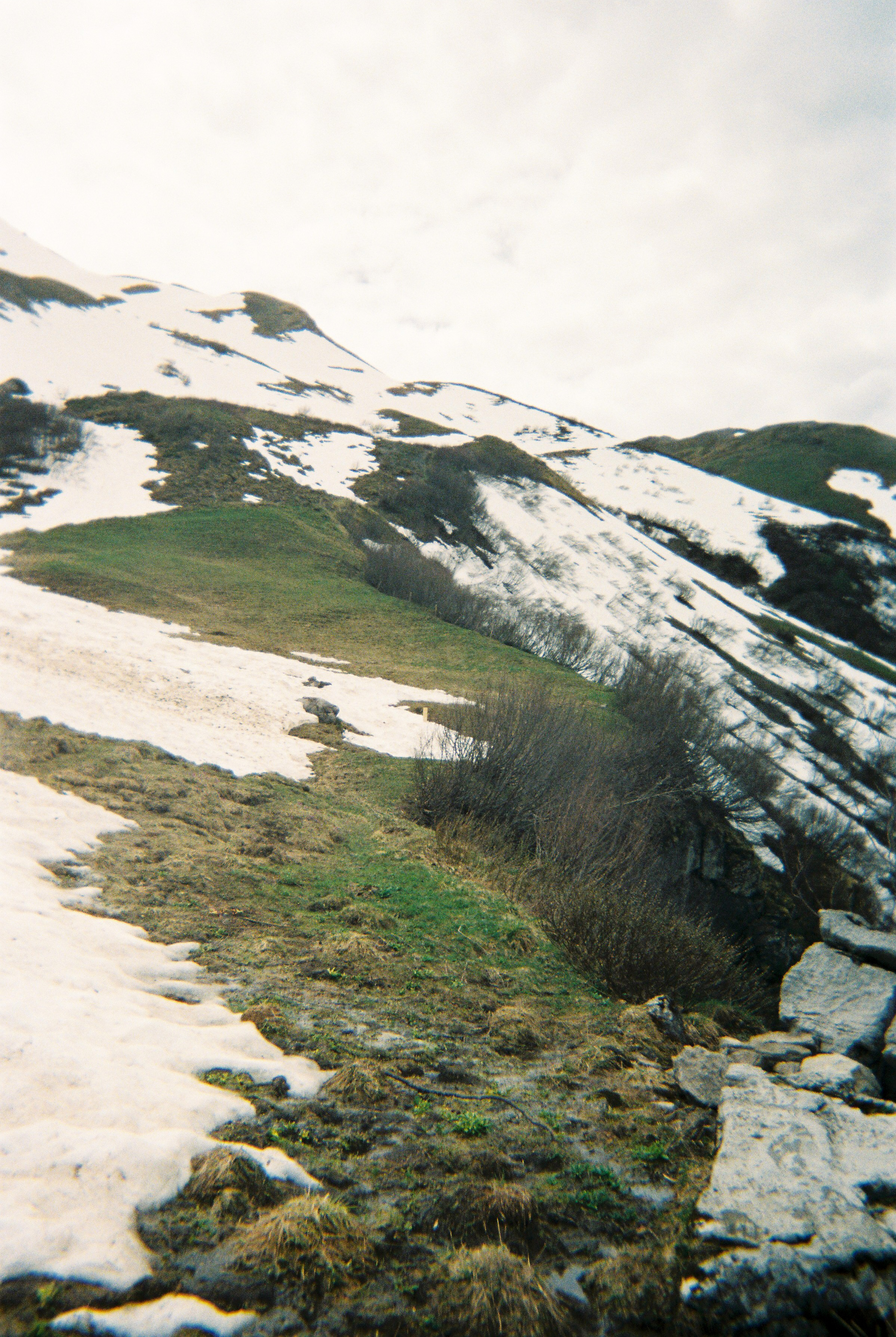 Photographs taken while walking on THE LINE in Liechtenstein by Studio Venice