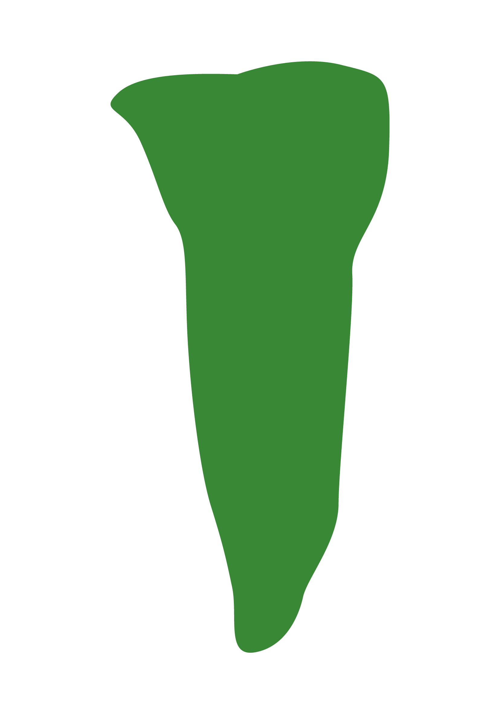 Viviana Farrici Assistente