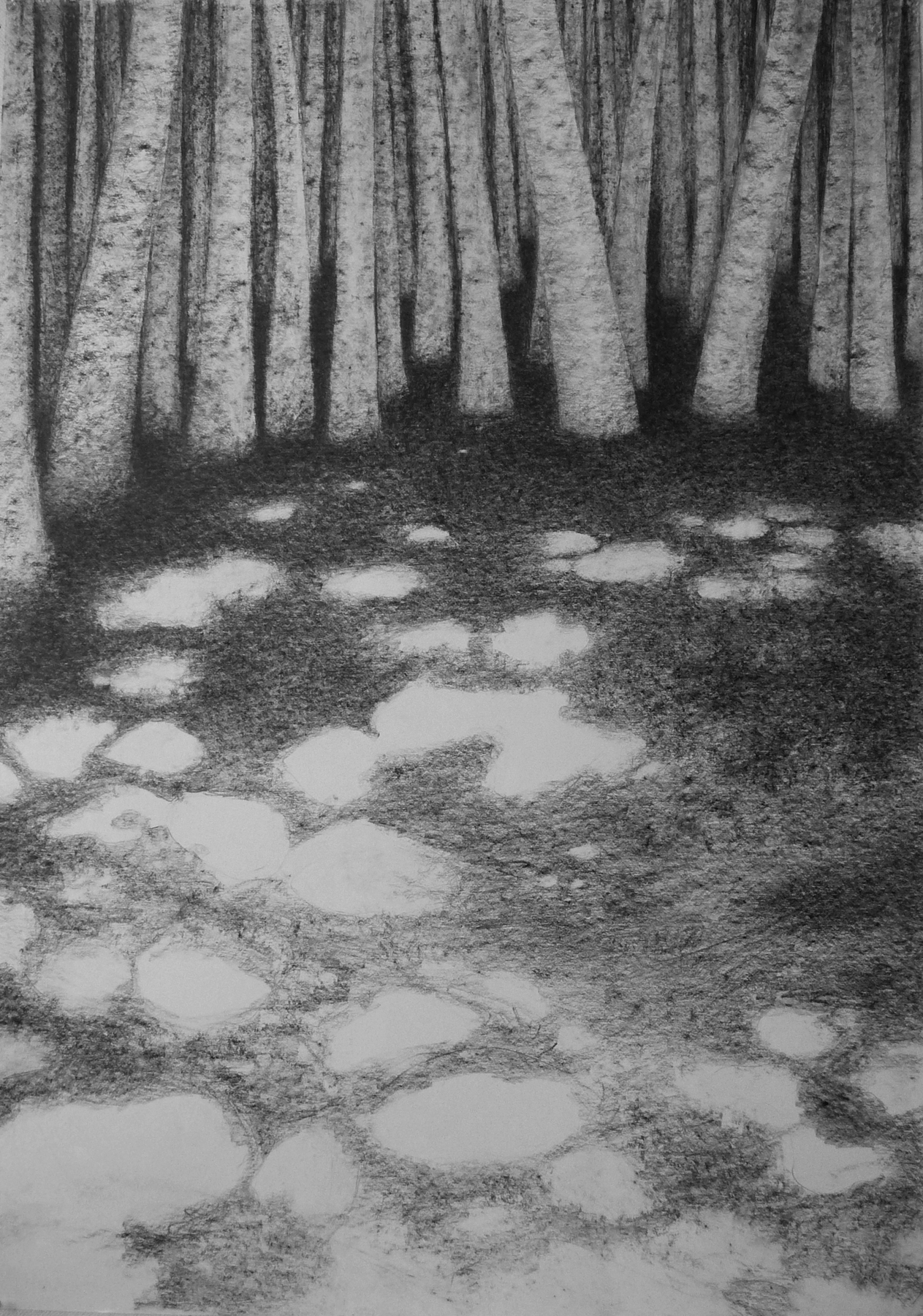 potlood op papier, 100 x 70 cm