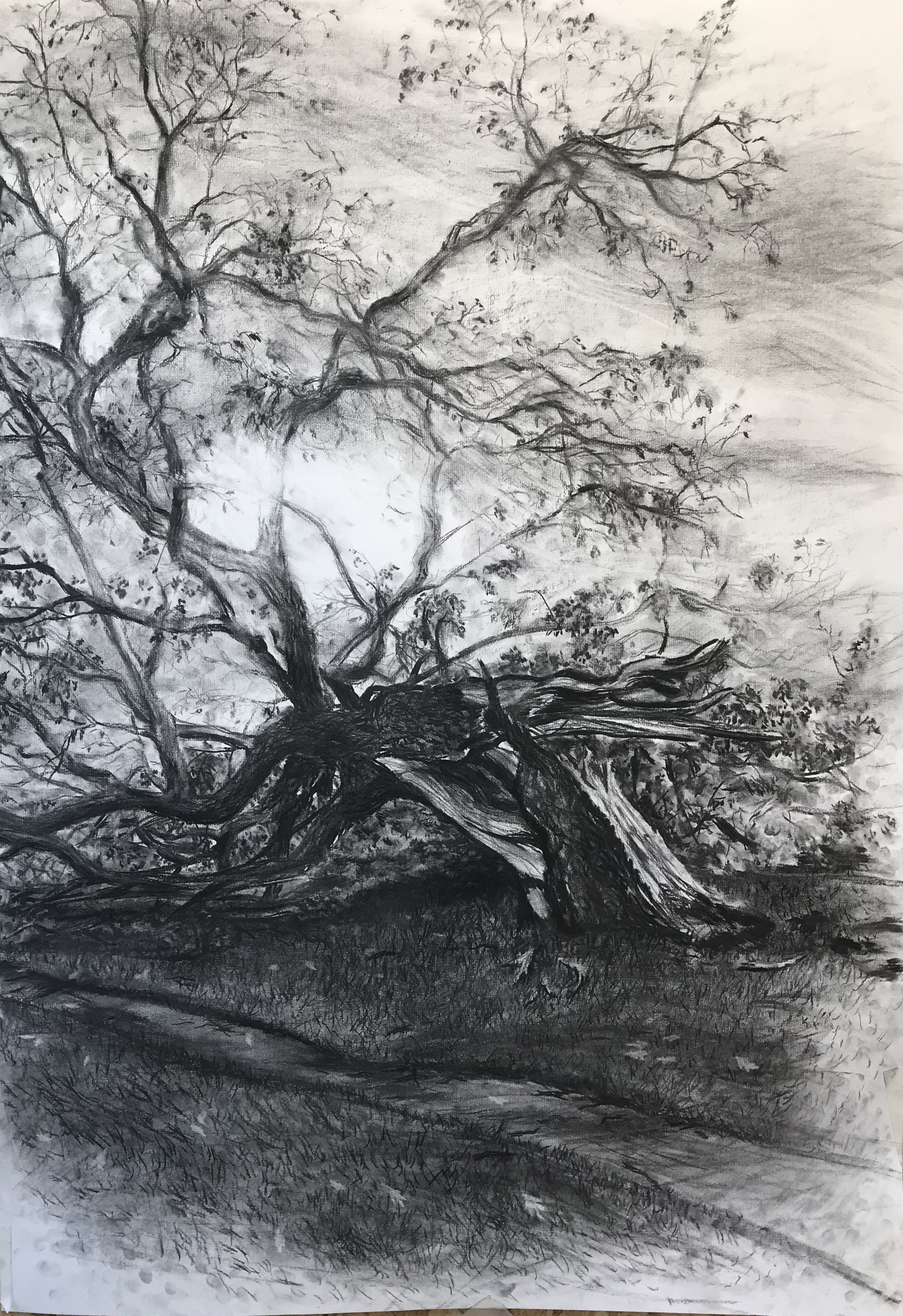 Destruction Path by Zoë Roberts