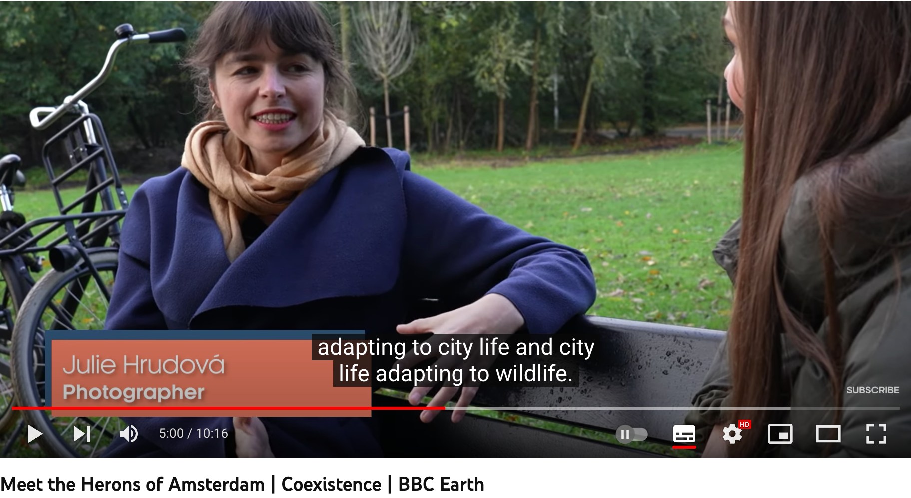 BBC series about herons