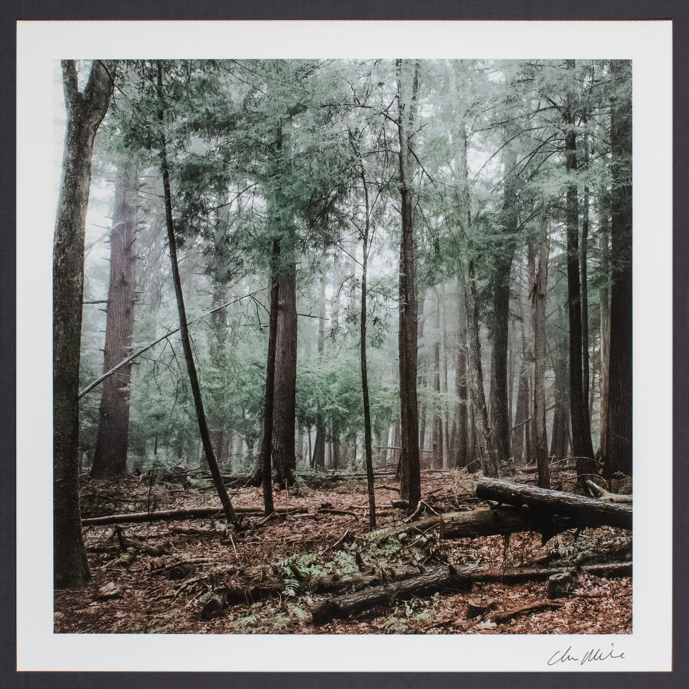 SOLD * But the Meditation of our Hearts * SOLD