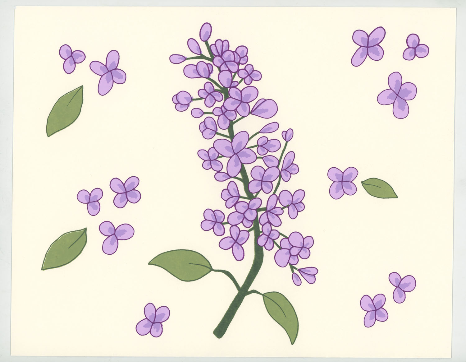 Lilac2022, Screen print on Canson Colorline, 8x10&rdquo;