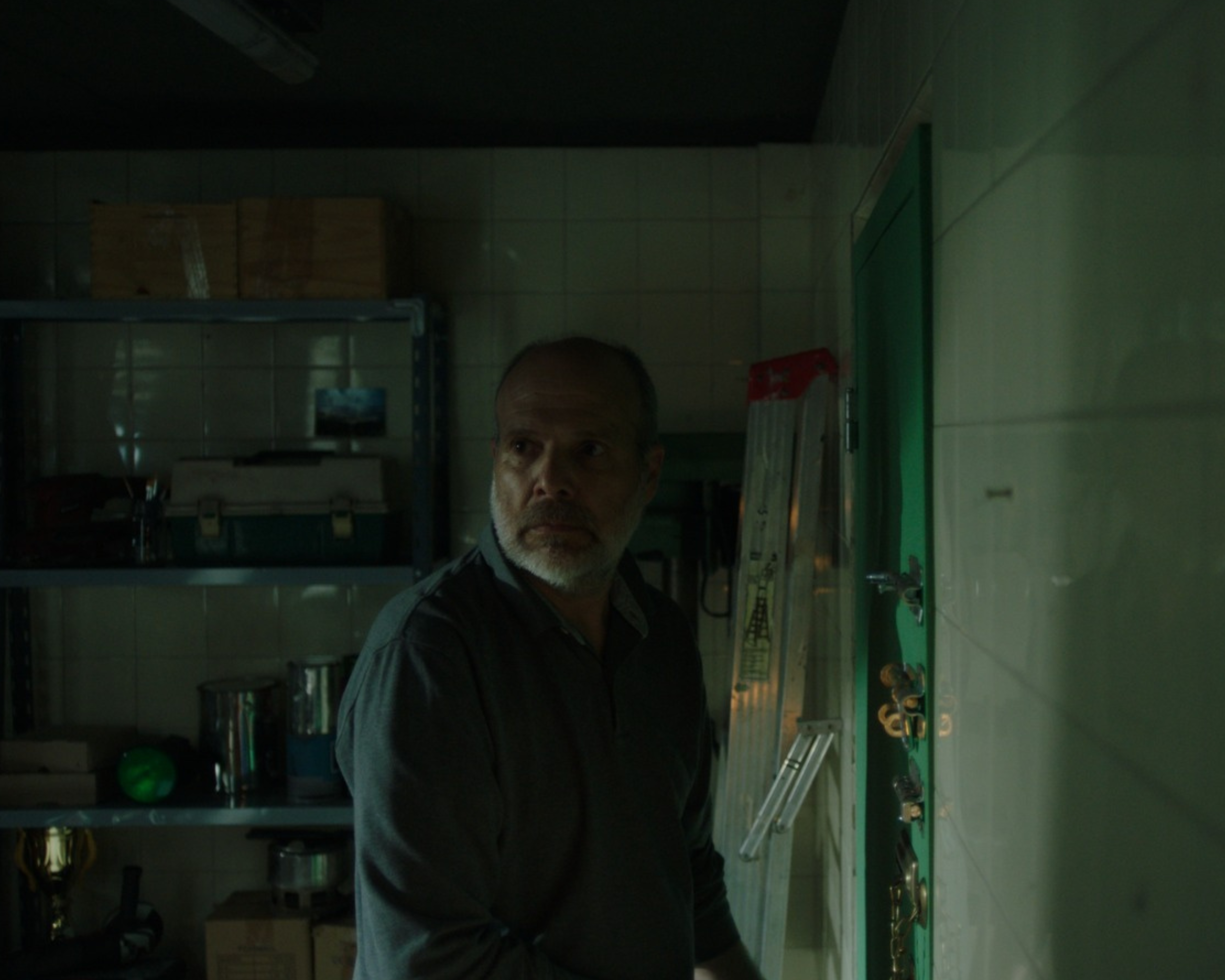 Prosegur - Nada es tan profesional