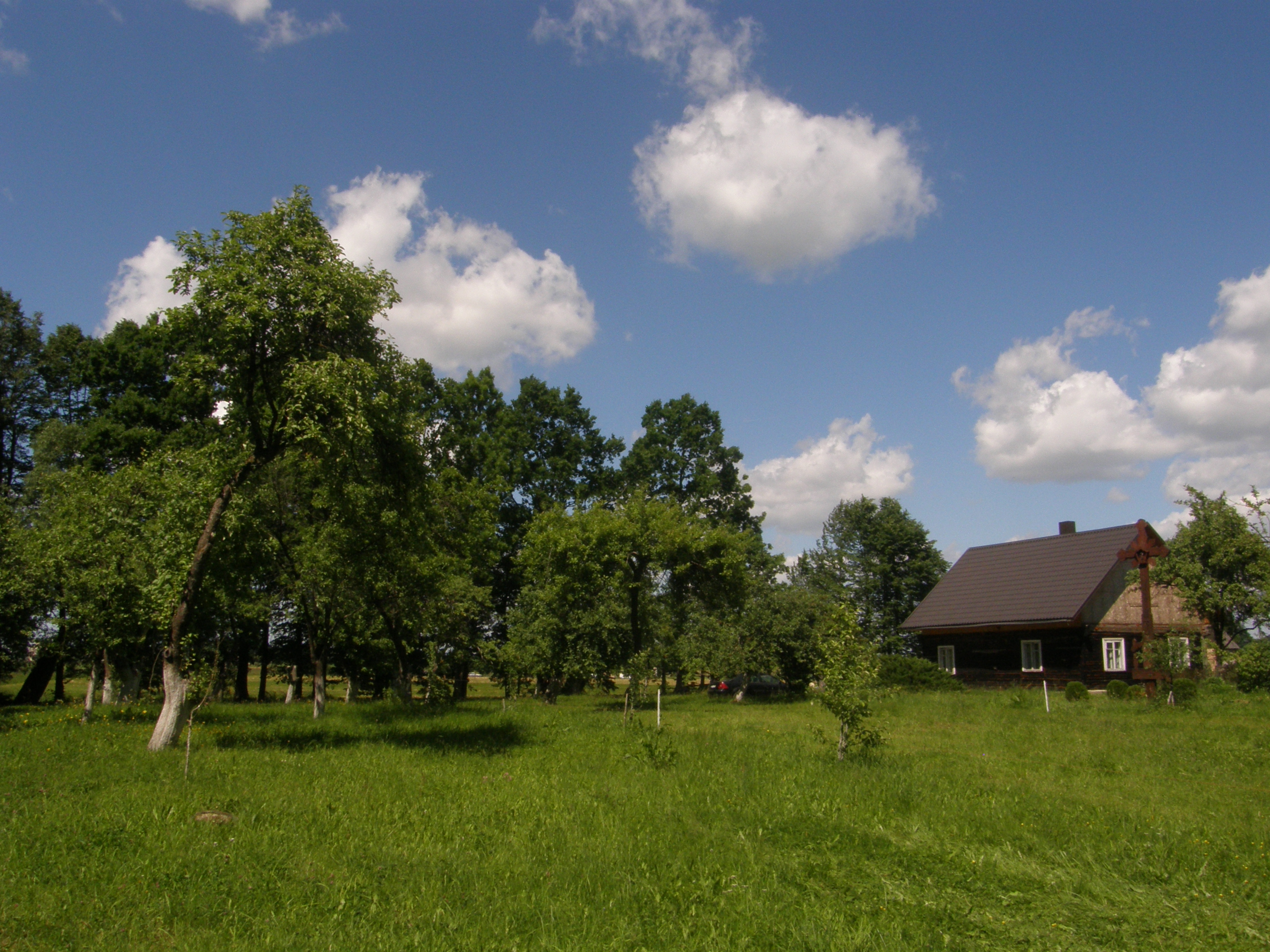 Lukšų sodyba. V. Vaitkevičiaus nuotr., 2014 m.