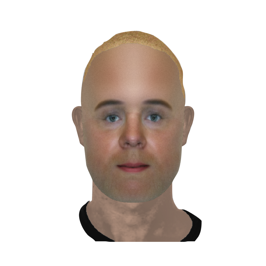 Fantomer, 2010-2012  Digital identikit images  Sara