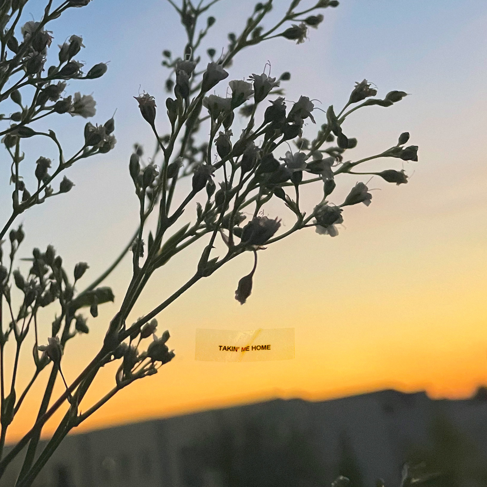 this is the only song that matters