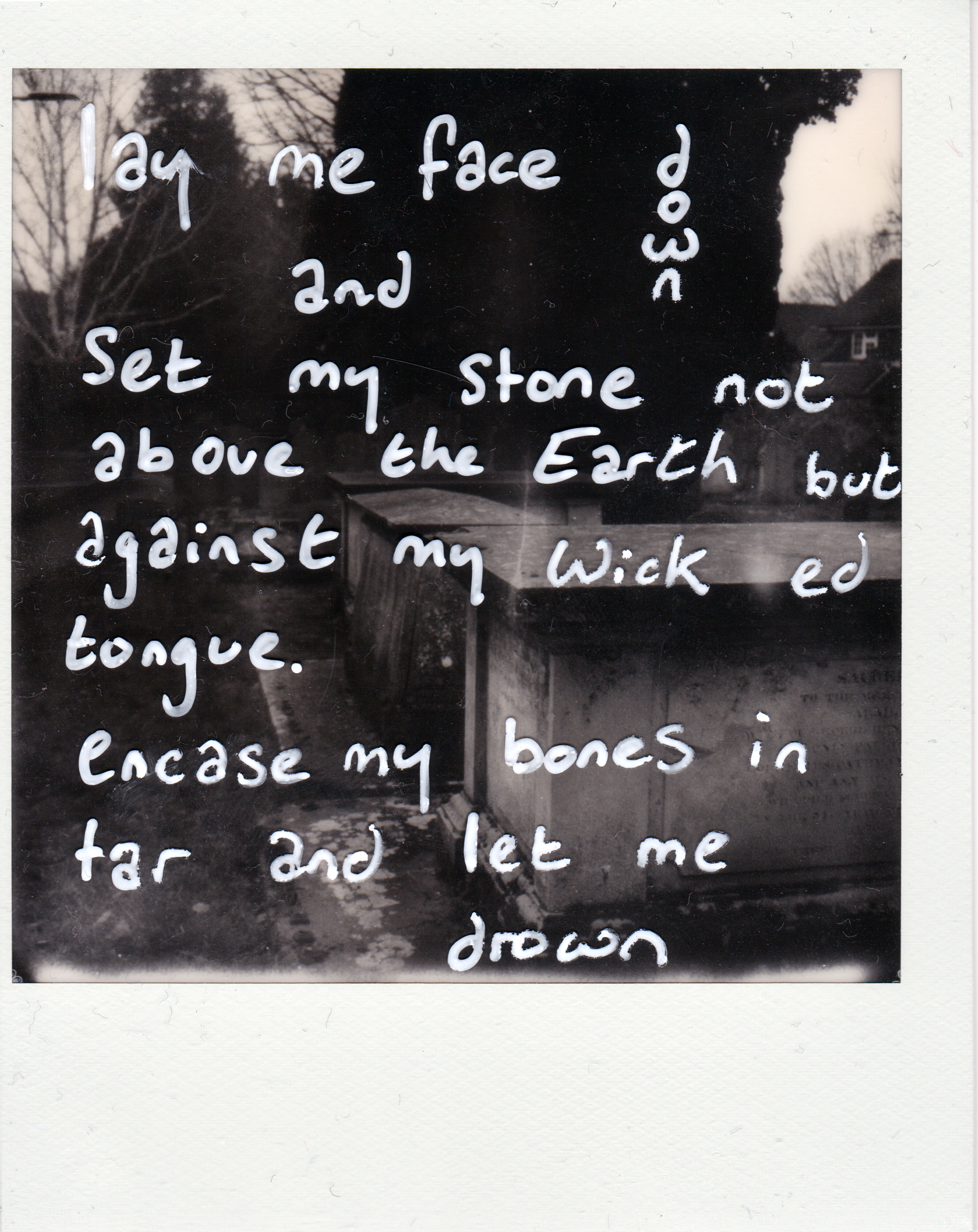 SX70 Long Exposure 01/01/21