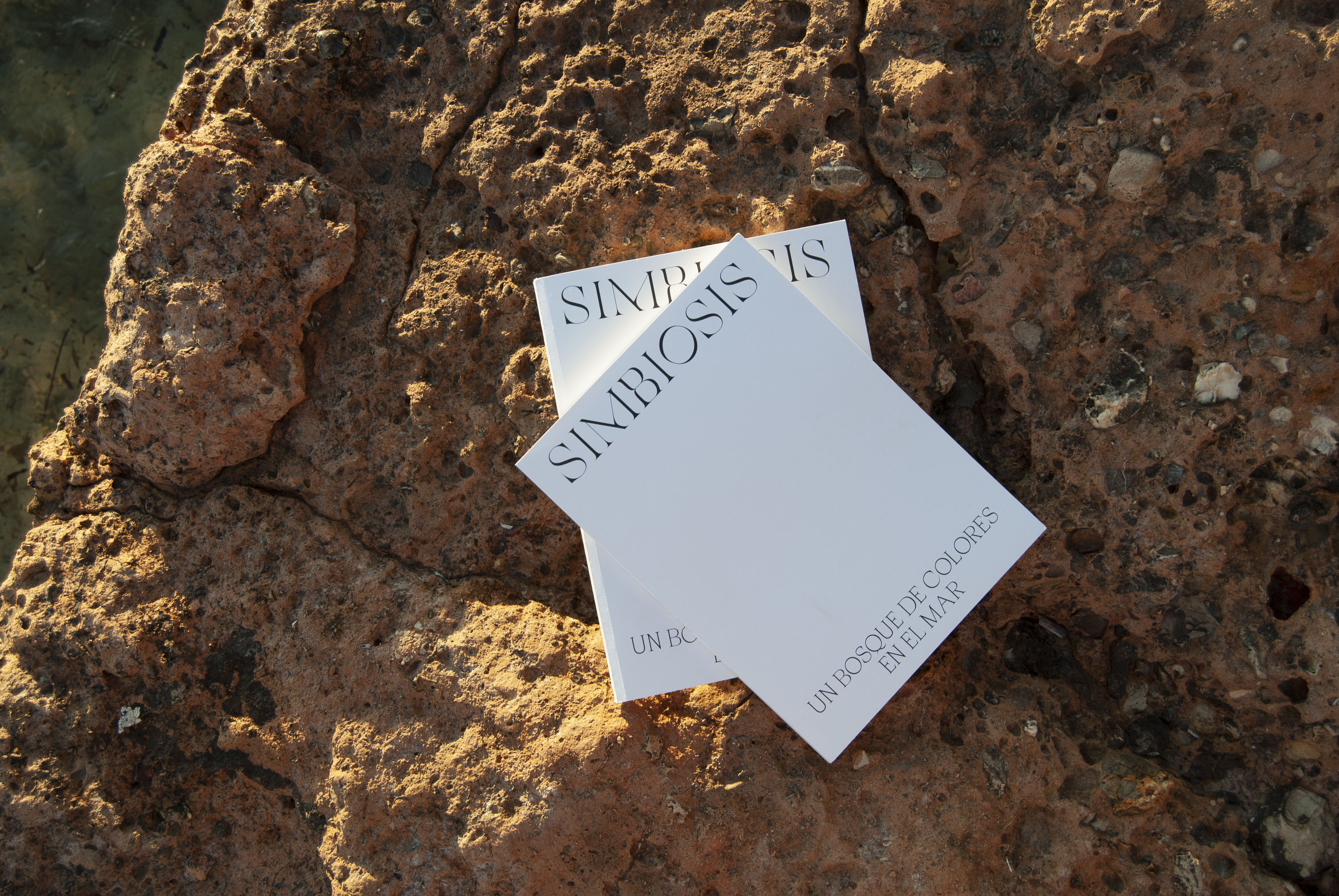 SIMBIOSIS [ EDITORIAL ]