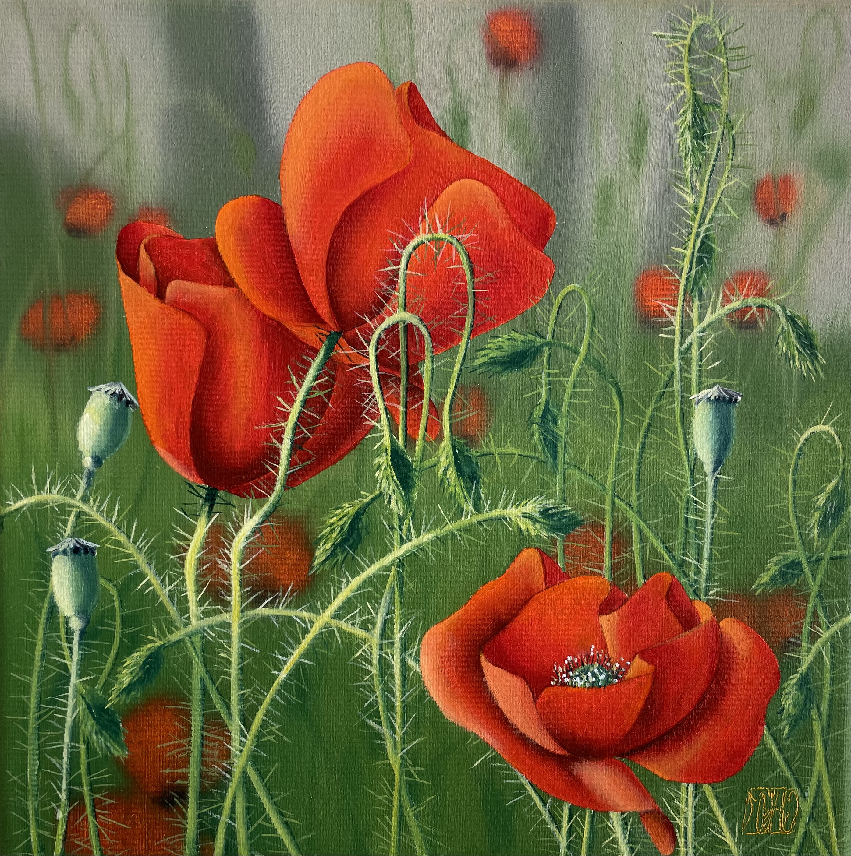 481–Mohn Nr.820×20 cmÖl auf Leinwand2022︎ Bild kaufen