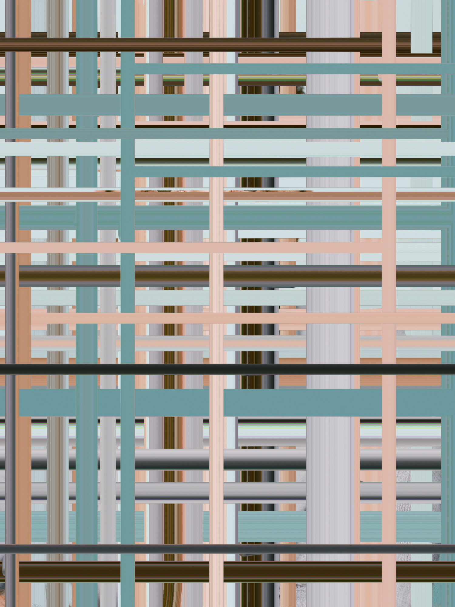 Program or Perish