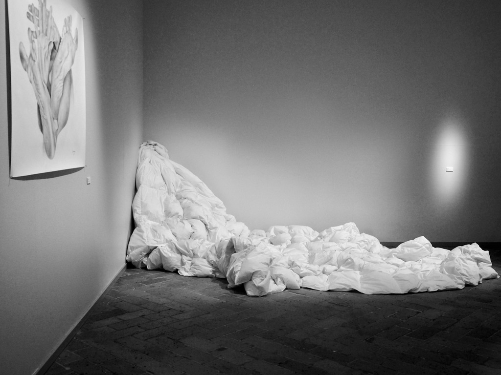 The TrapCotton, down440x480 cm, 2020