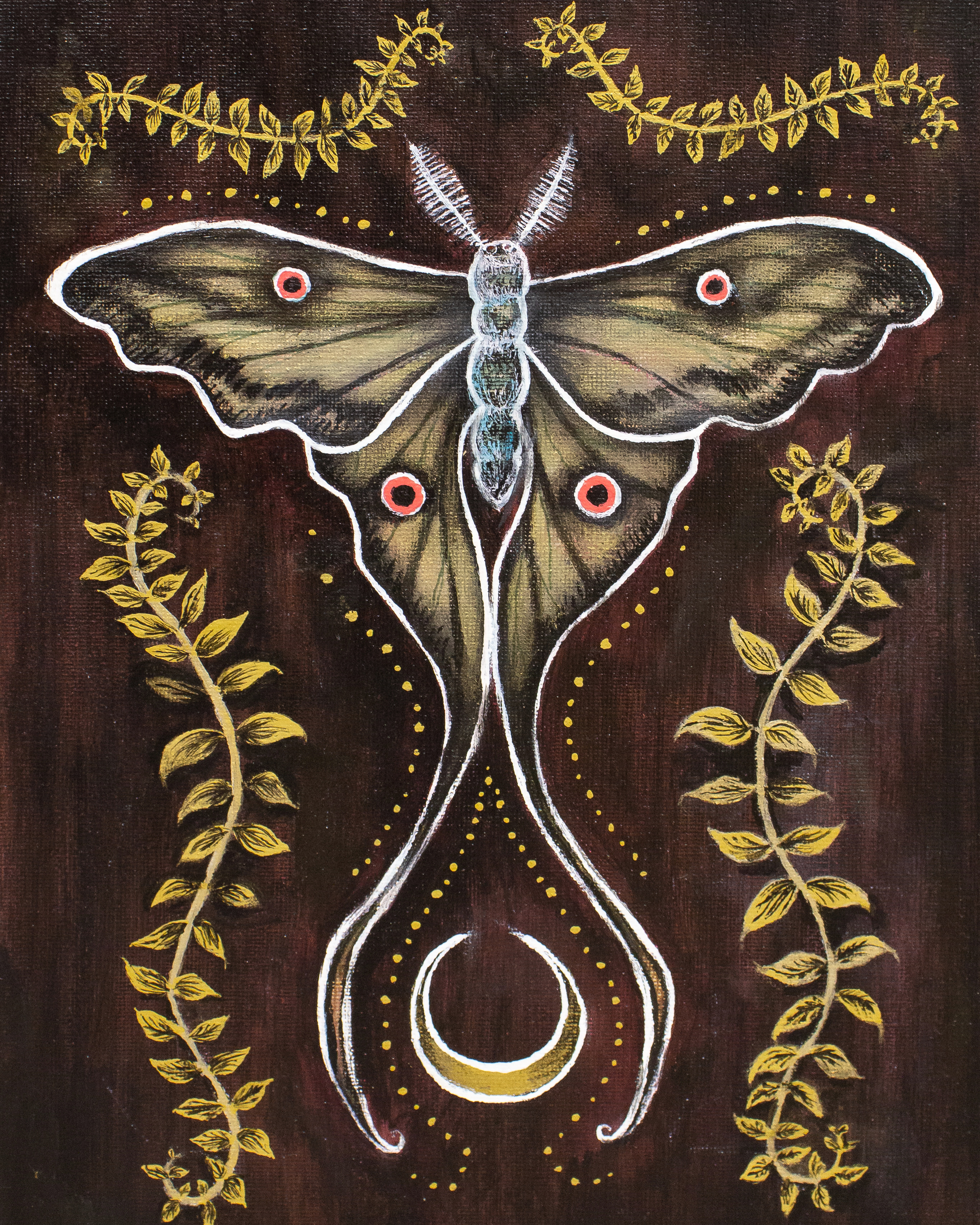 decorative moth | 2022 | acrylic on canvas, 8¾" x 12"