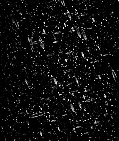 Photonic Seed Crossing 13P Digital Pigment Print, 56” x 42”, 2002, edition of 6