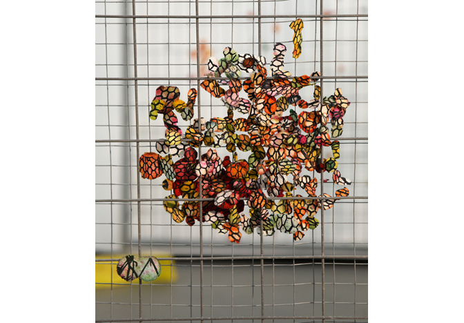 The installation view of the work. Photography by Fiona Morrison.