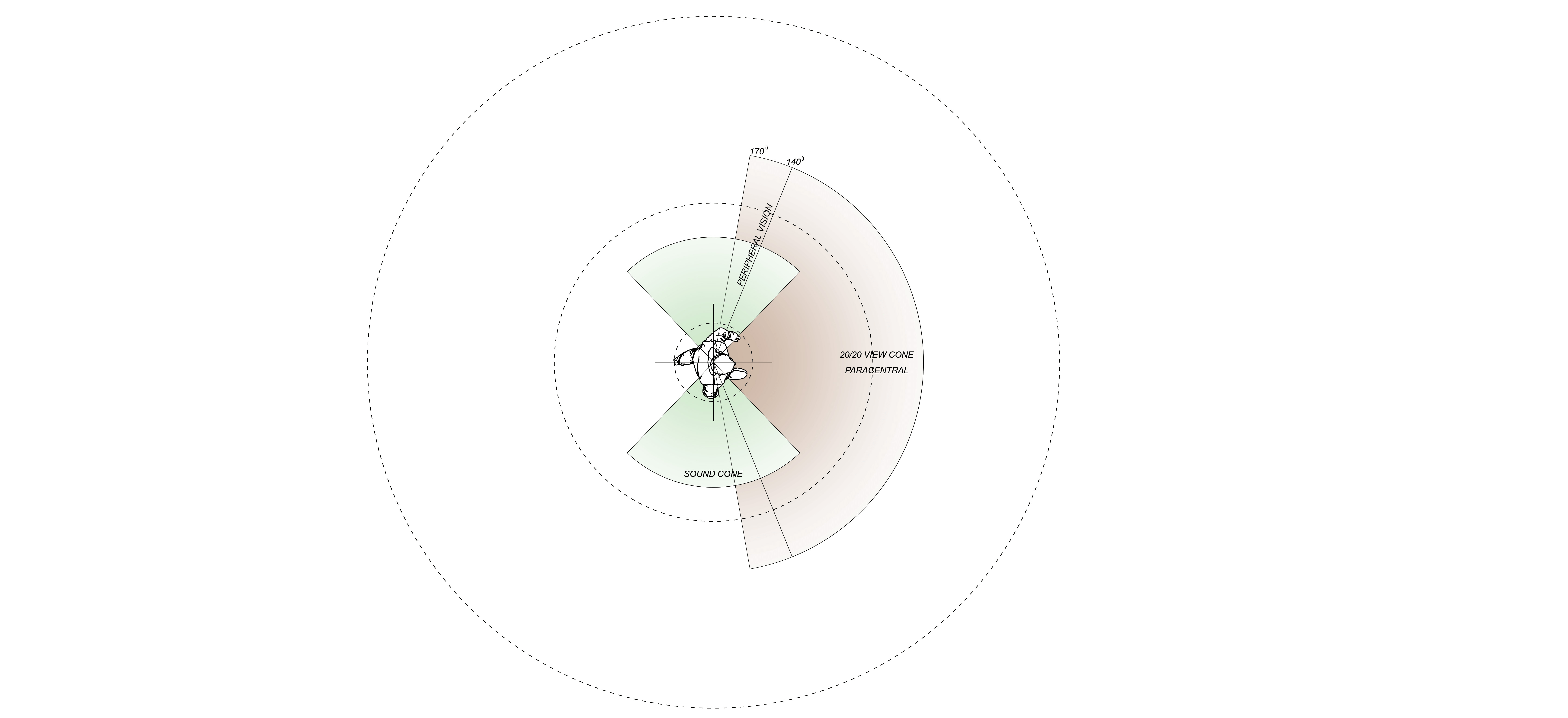 Proxemics: Interpersonal Spaces of an Individual. de Kock,J. Unit 14, 2022