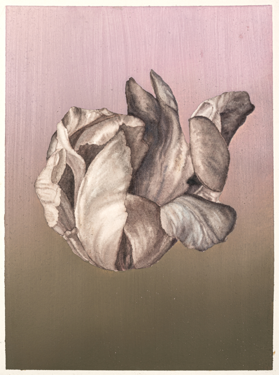 untitled, oil and watercolor on paper, 31 x 23 cm, 2020