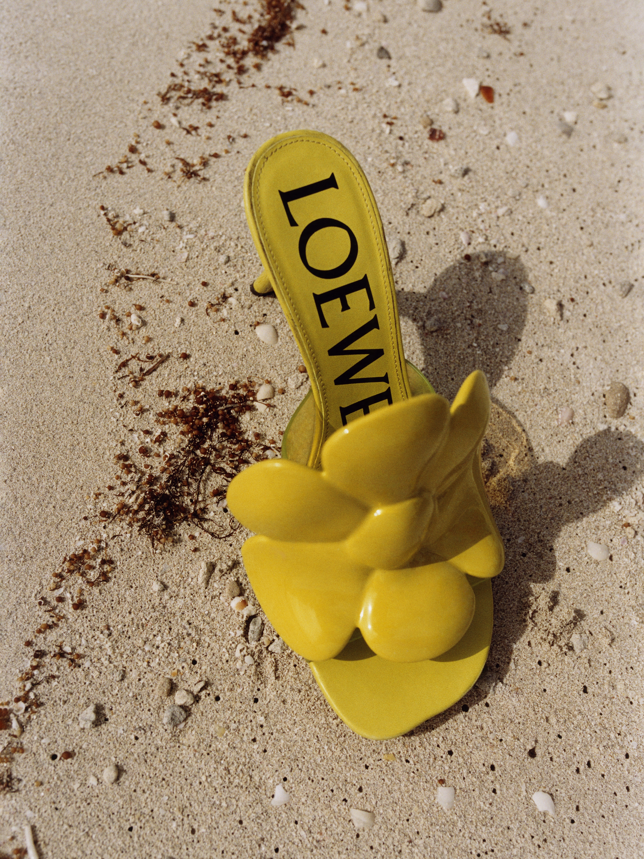 Loewe Paula's Ibiza 2/6