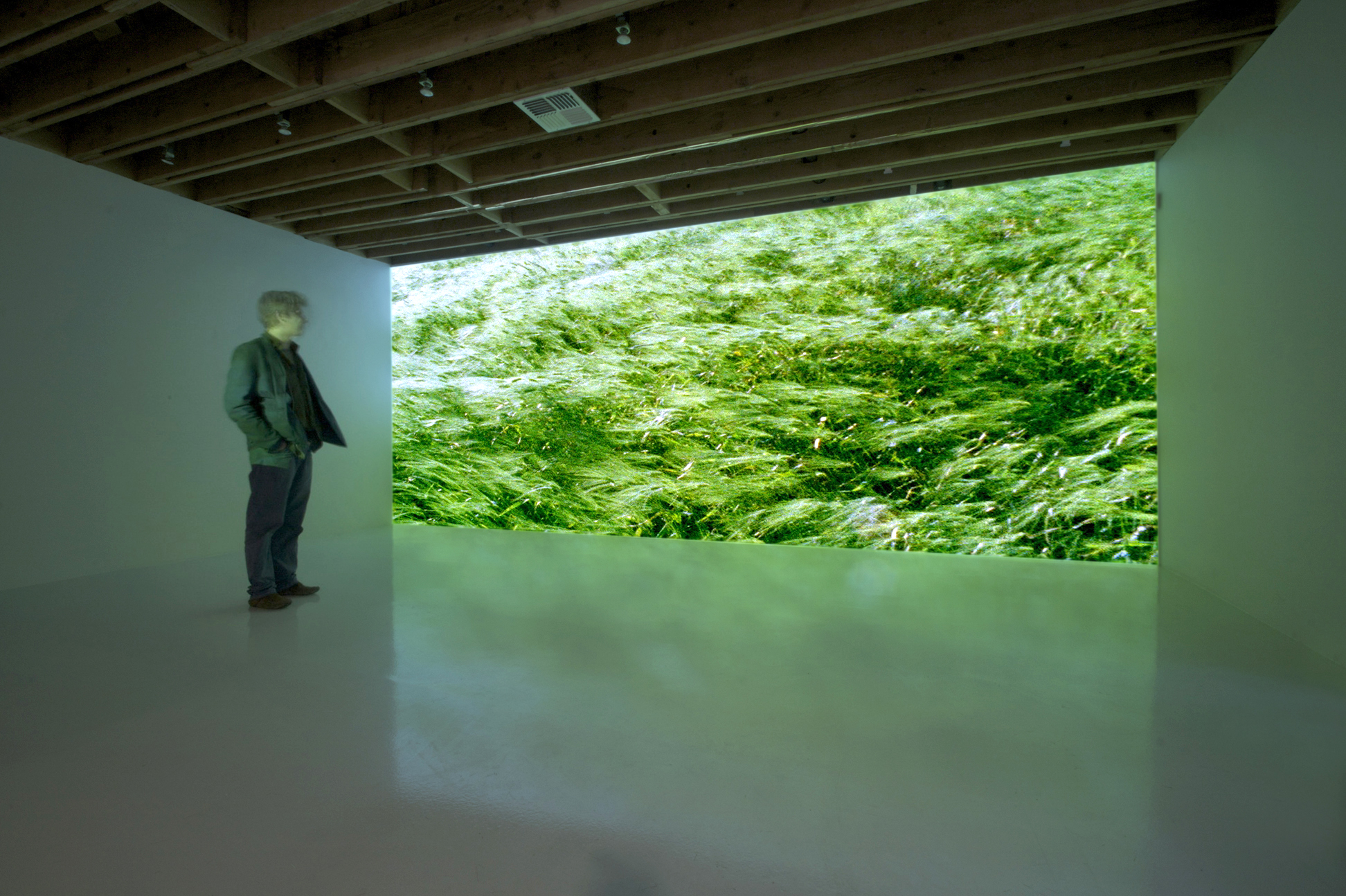 At Any Given Moment, Grass, 2009. Site view at Environment, Los Angeles.