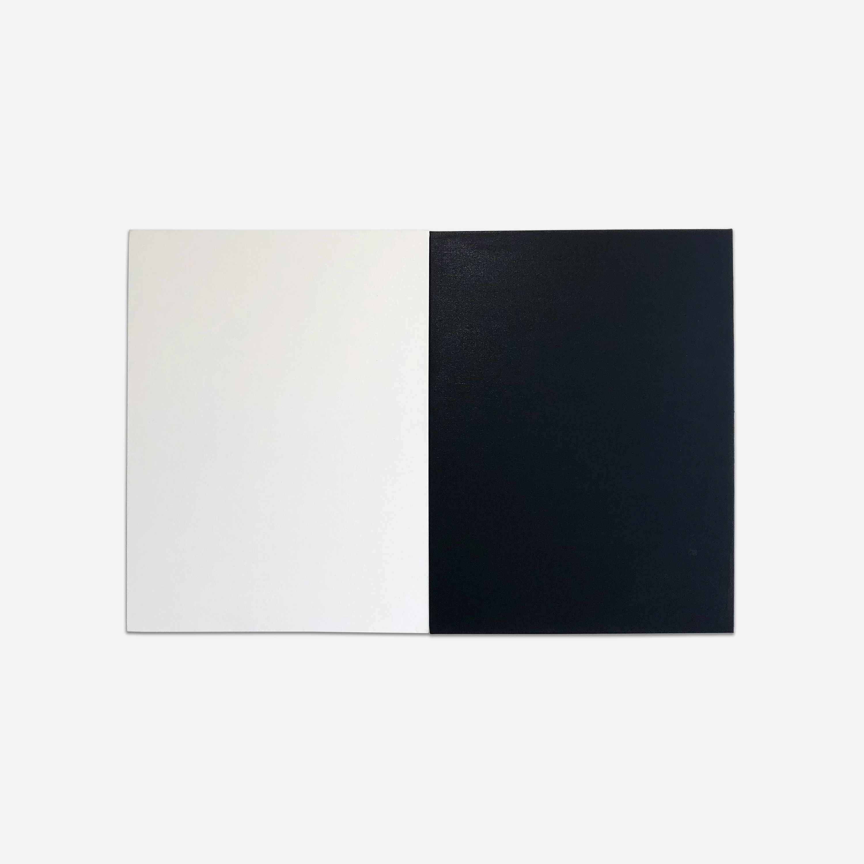 White/Black, 2019, Acrylic on canvas, 24 x 36 in