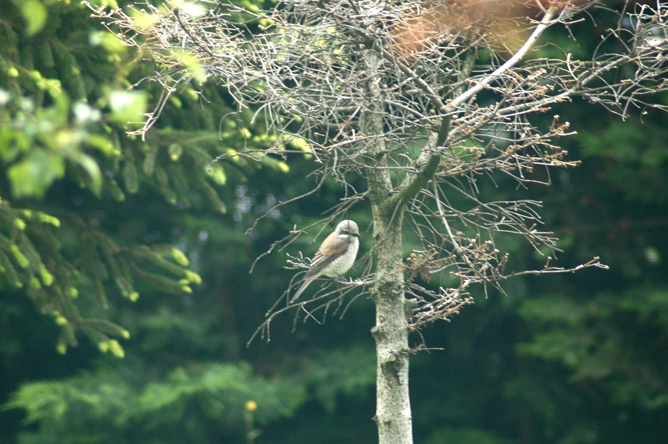 03.05.2020, Lojmanlar