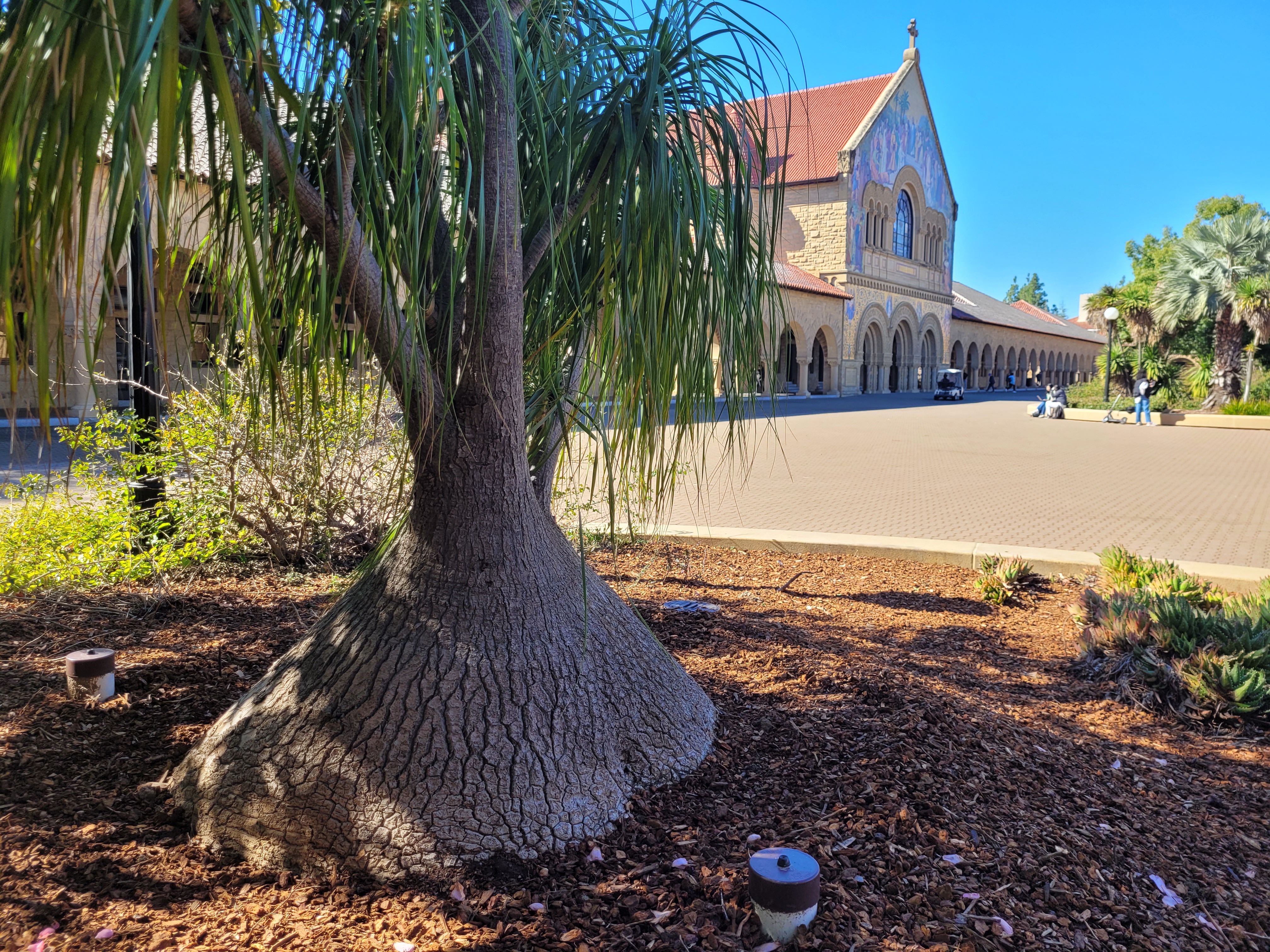 Historic Quad and Stanford University