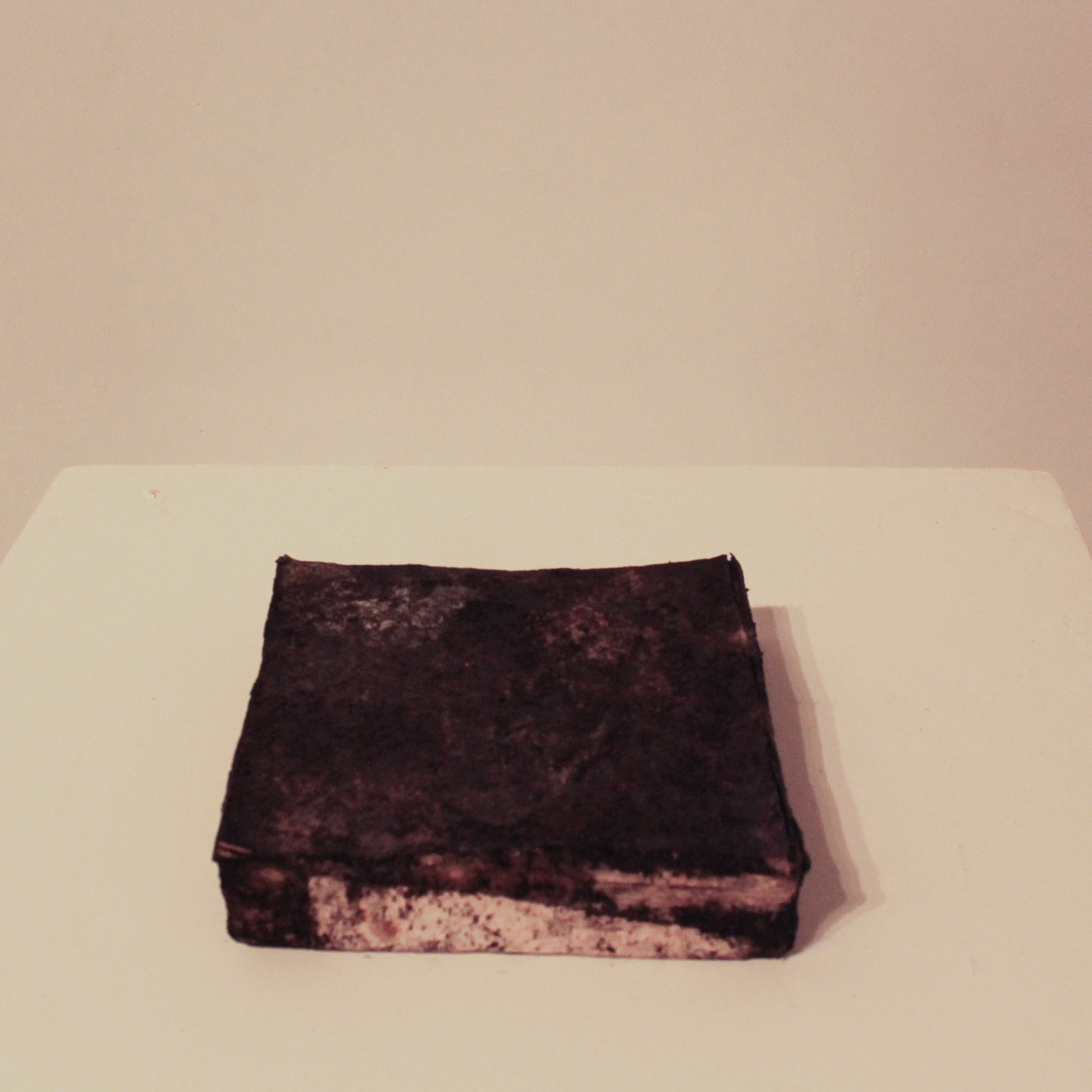 My name is Wasli. Glue, Paper, and Fungus, ~20cm x 20cm x 5cm, 2011