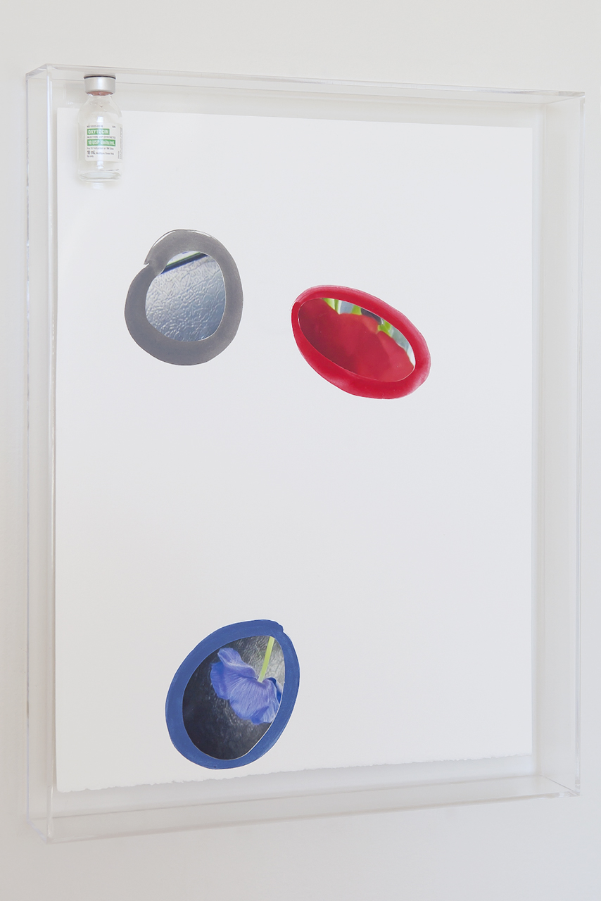01. Love And Its Case; Flowers and Oxytocin #1, 2012 Archival pigment print on matte paper, gouache mixed with oxytocin, and glass bottle encased in an acrylic glass box 17.5” x 14”