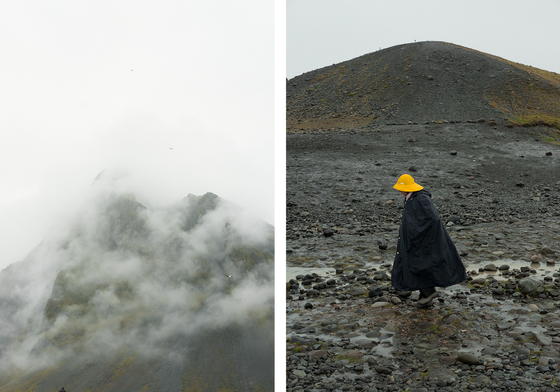 Domingo Nardulli TIFF