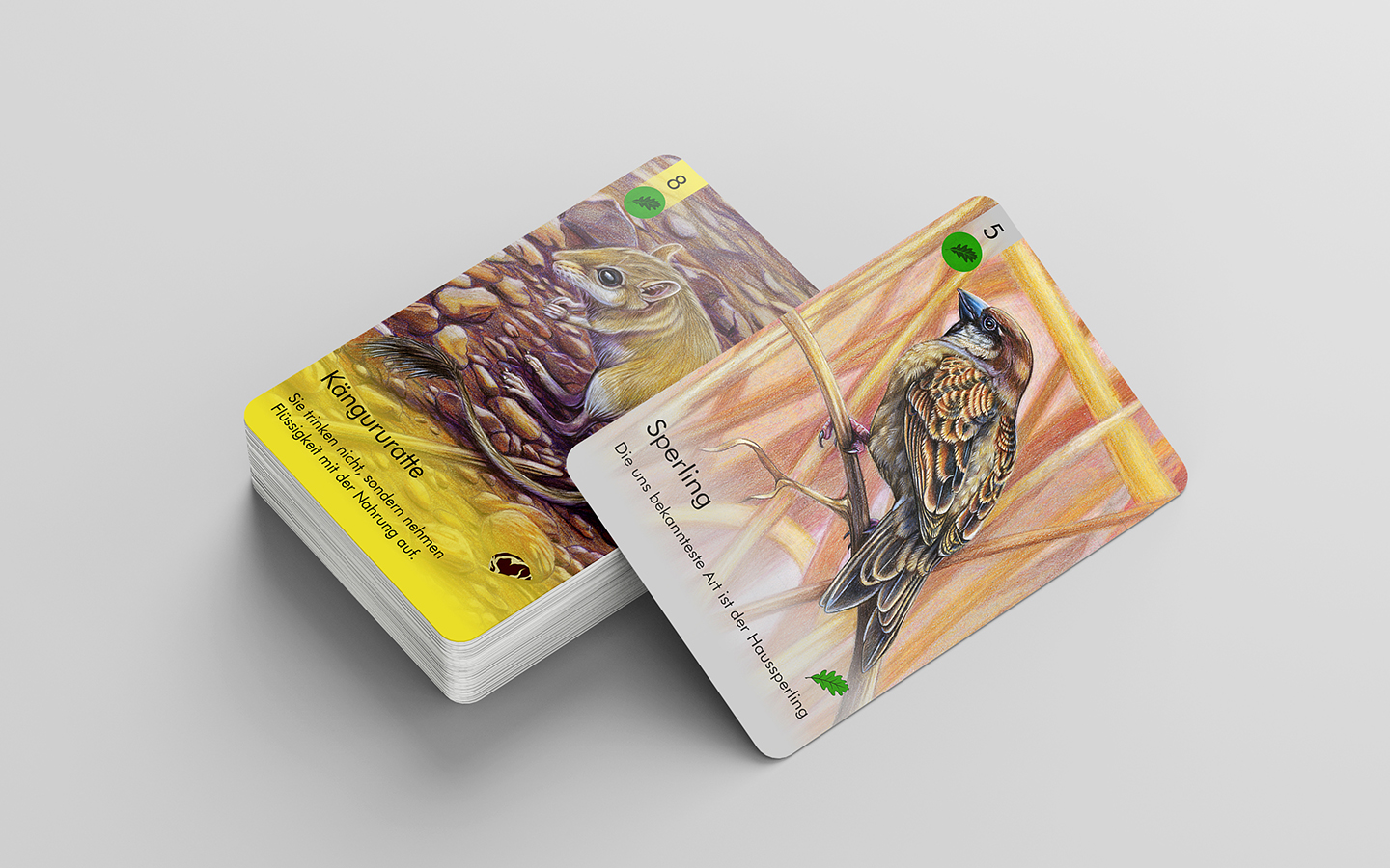 Gesellschaftsspiel - Biomes