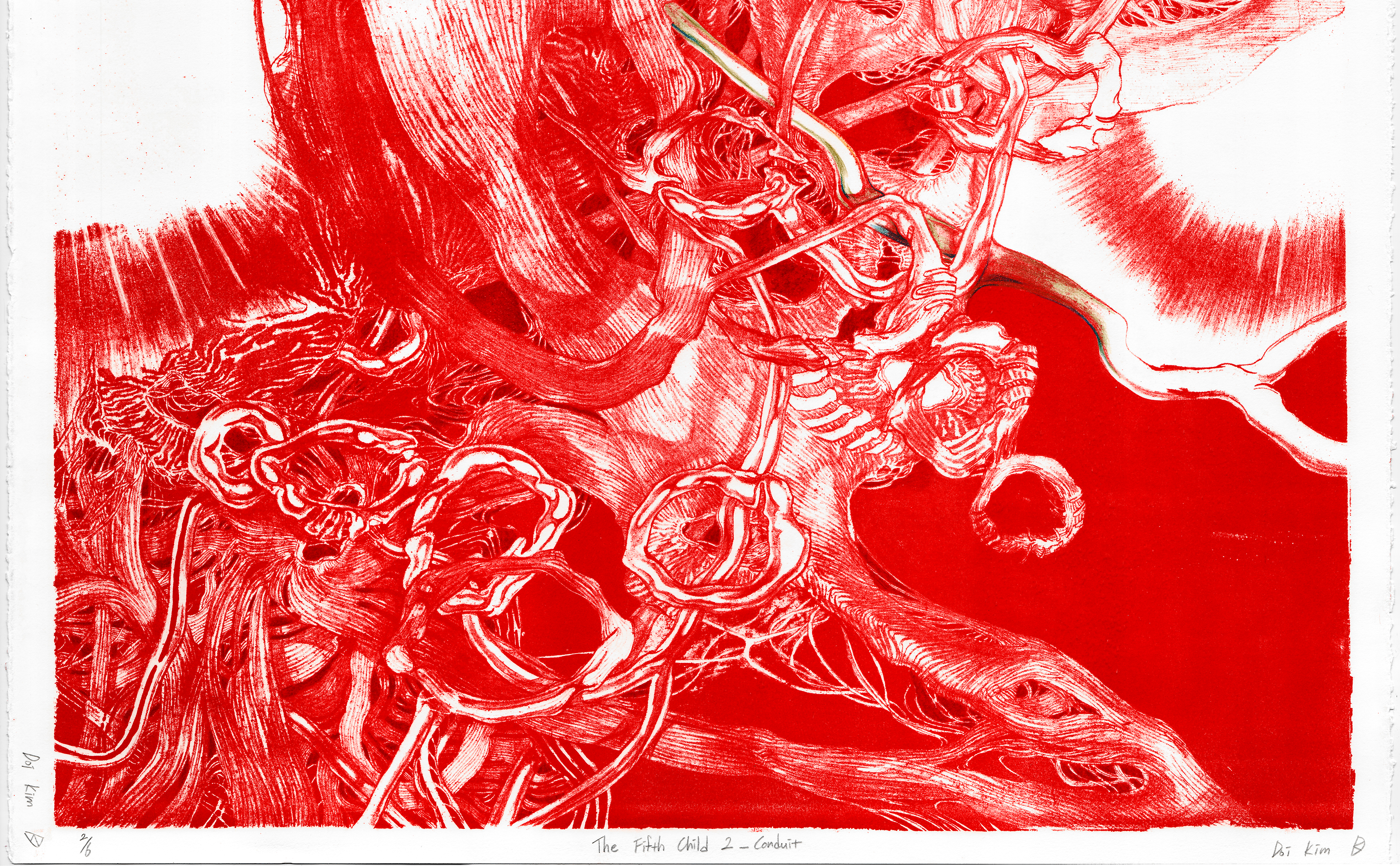 The Fifth Child 2_ conduit (detail), 2020, Colored pencil on lithograph, 30 x 22 inches / 76.2 x 55.8 cm, variable edition of 6 + 1 AP