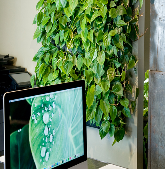 Webteksten en persberichten voor Mobilane