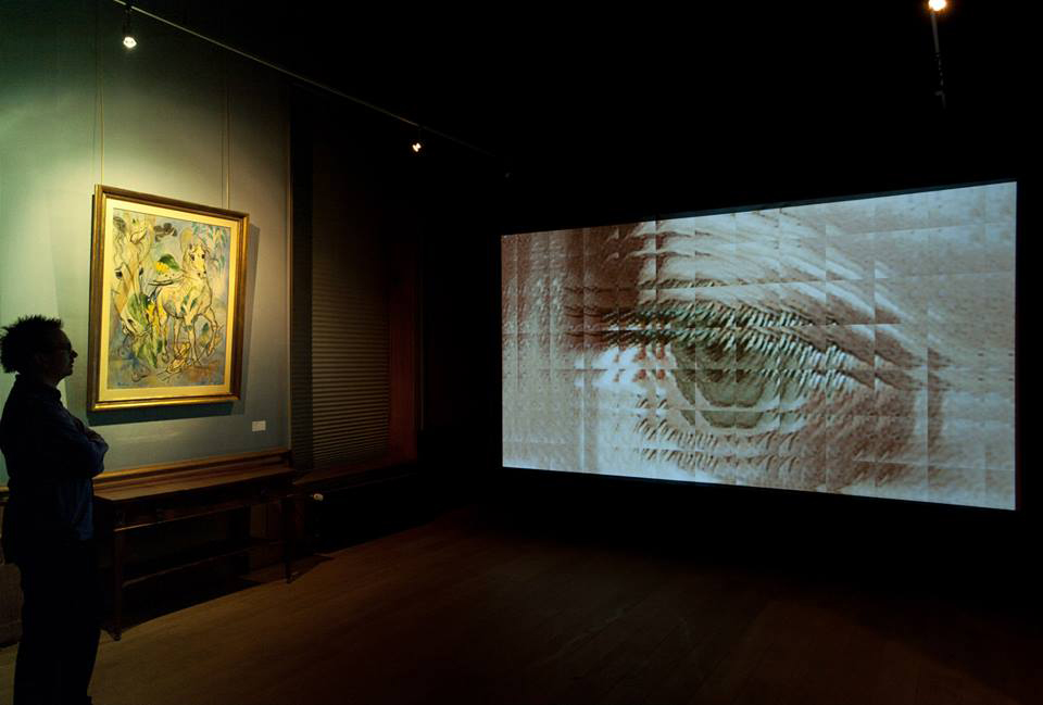 Solo "Hidden Series" Museum de Fundatie 2012 (video work)