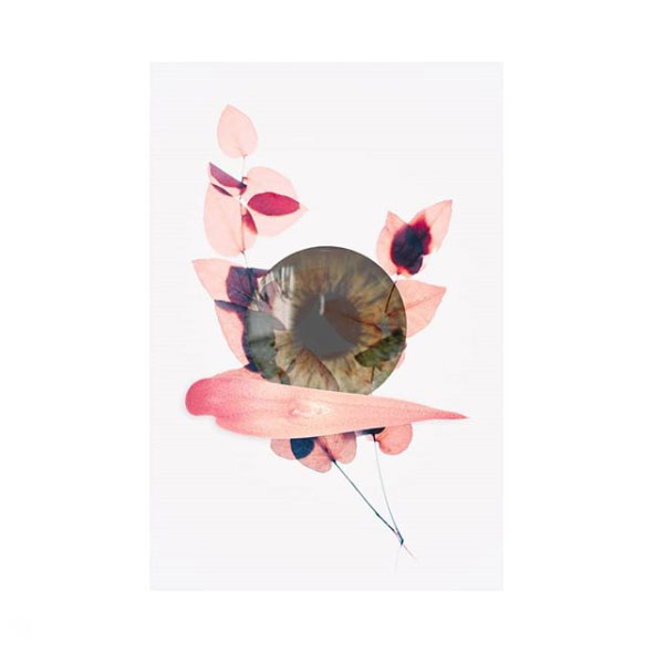 elcolordelasgranadas